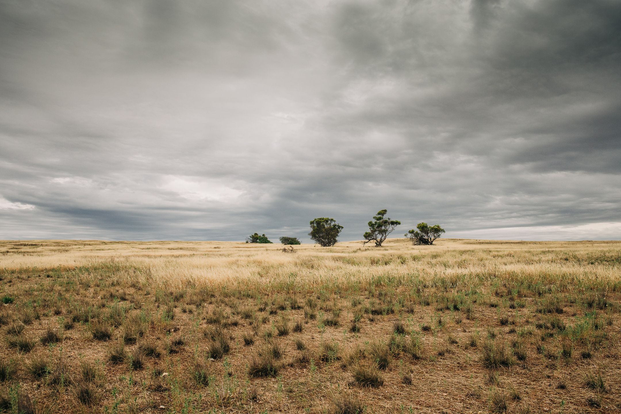 Degraded landscape at Talia