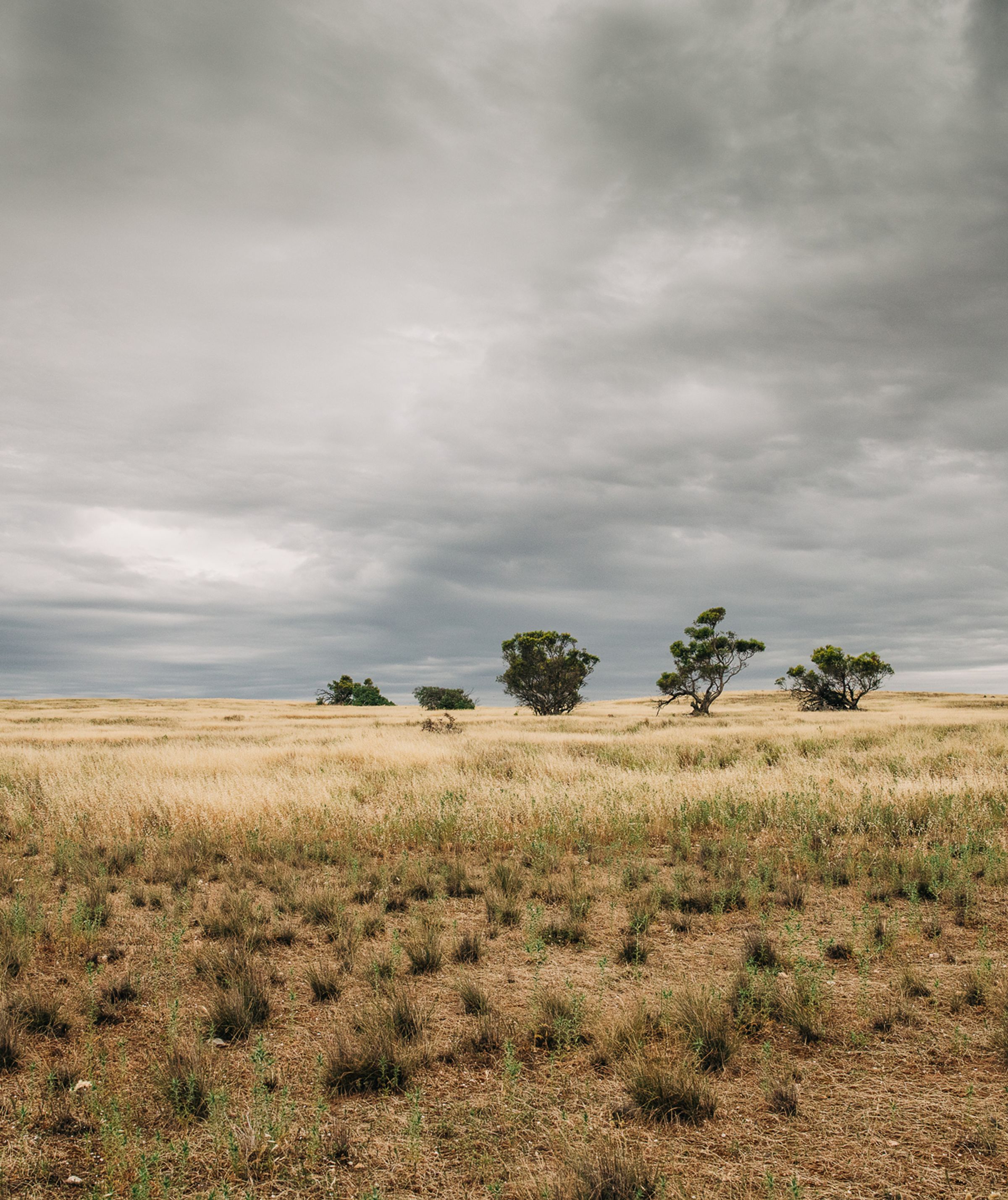 Understanding carbon credit procurement: spot, offtake and direct investment