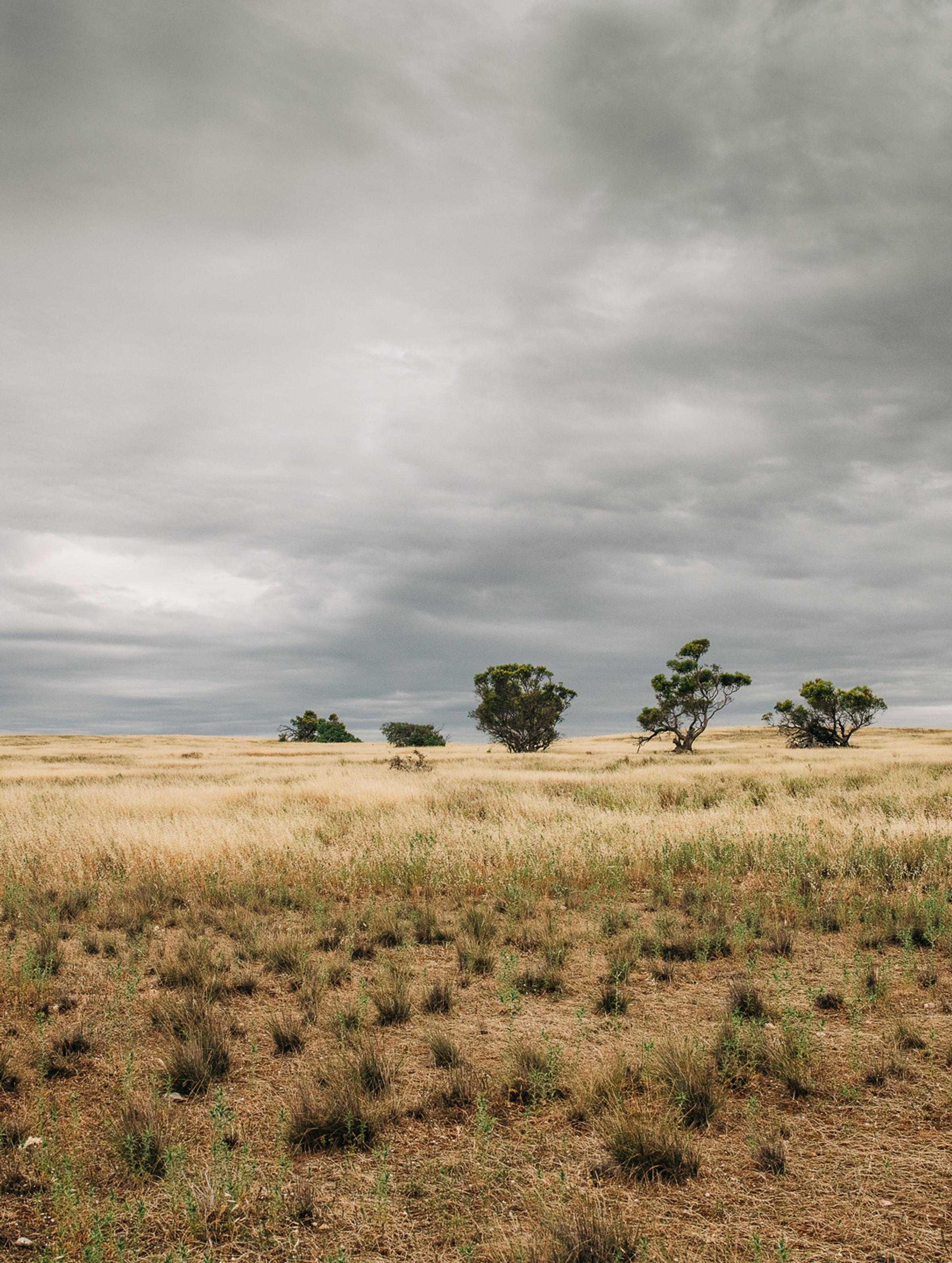 Understanding carbon credit procurement: spot, offtake and direct investment