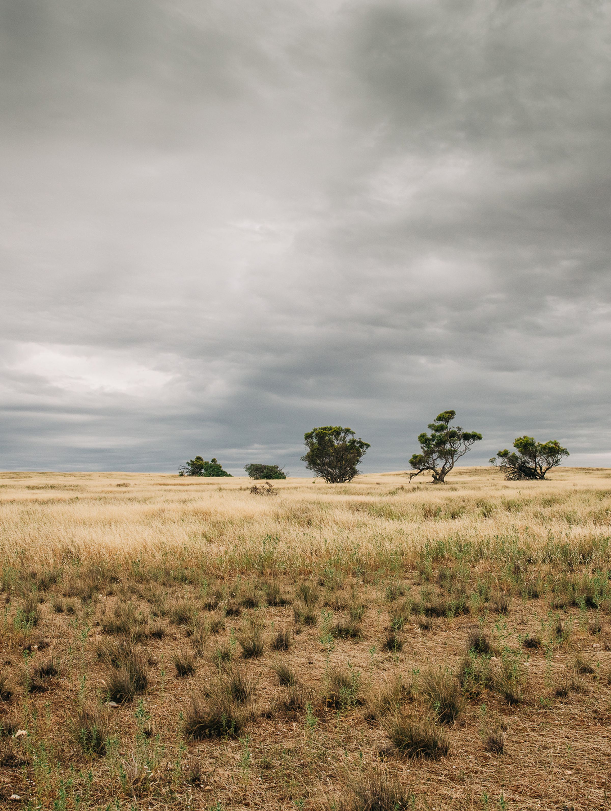 Understanding carbon credit procurement: spot, offtake and direct investment
