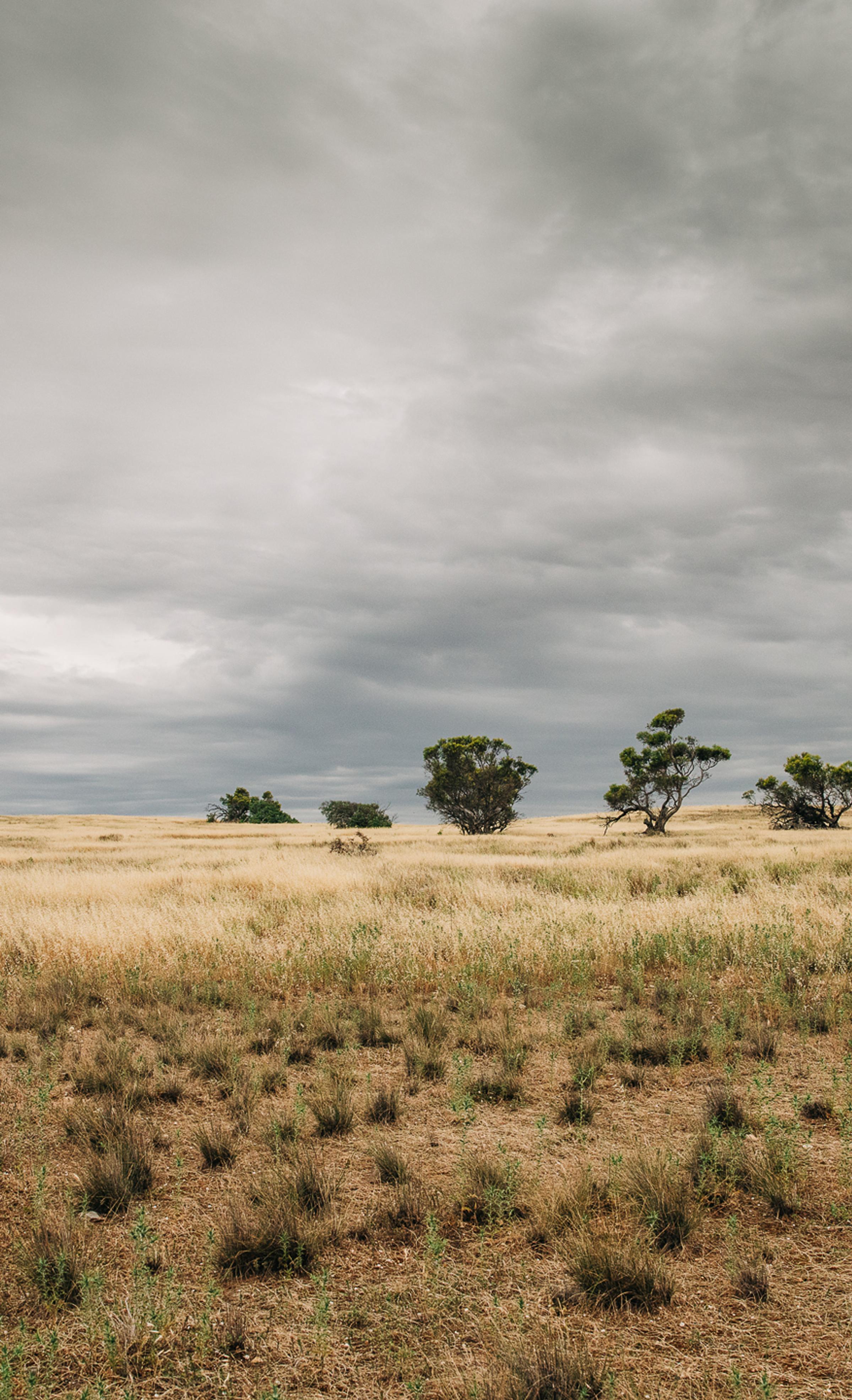 degraded land on Eyre Peninsula