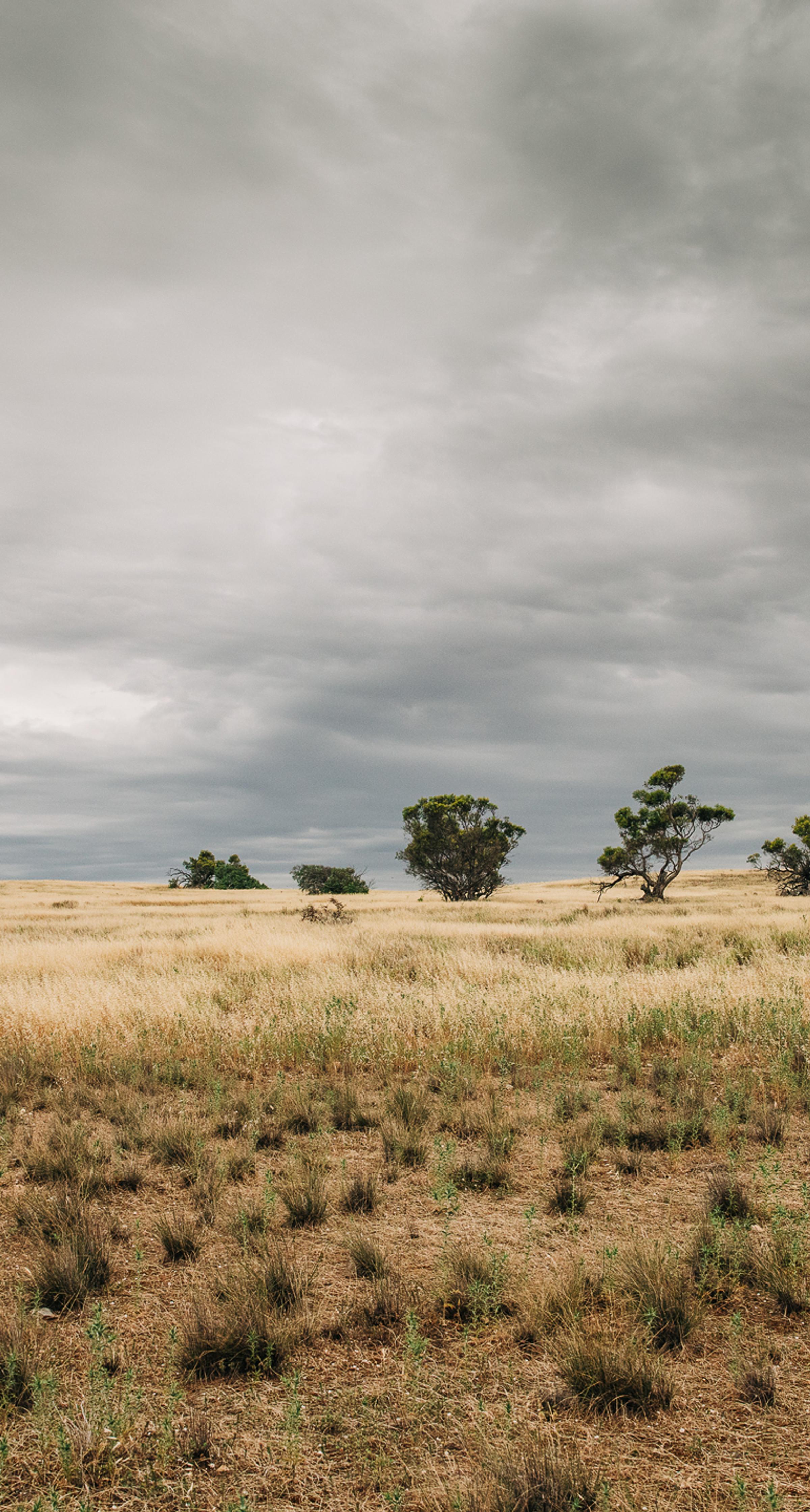 Degraded landscape at Talia