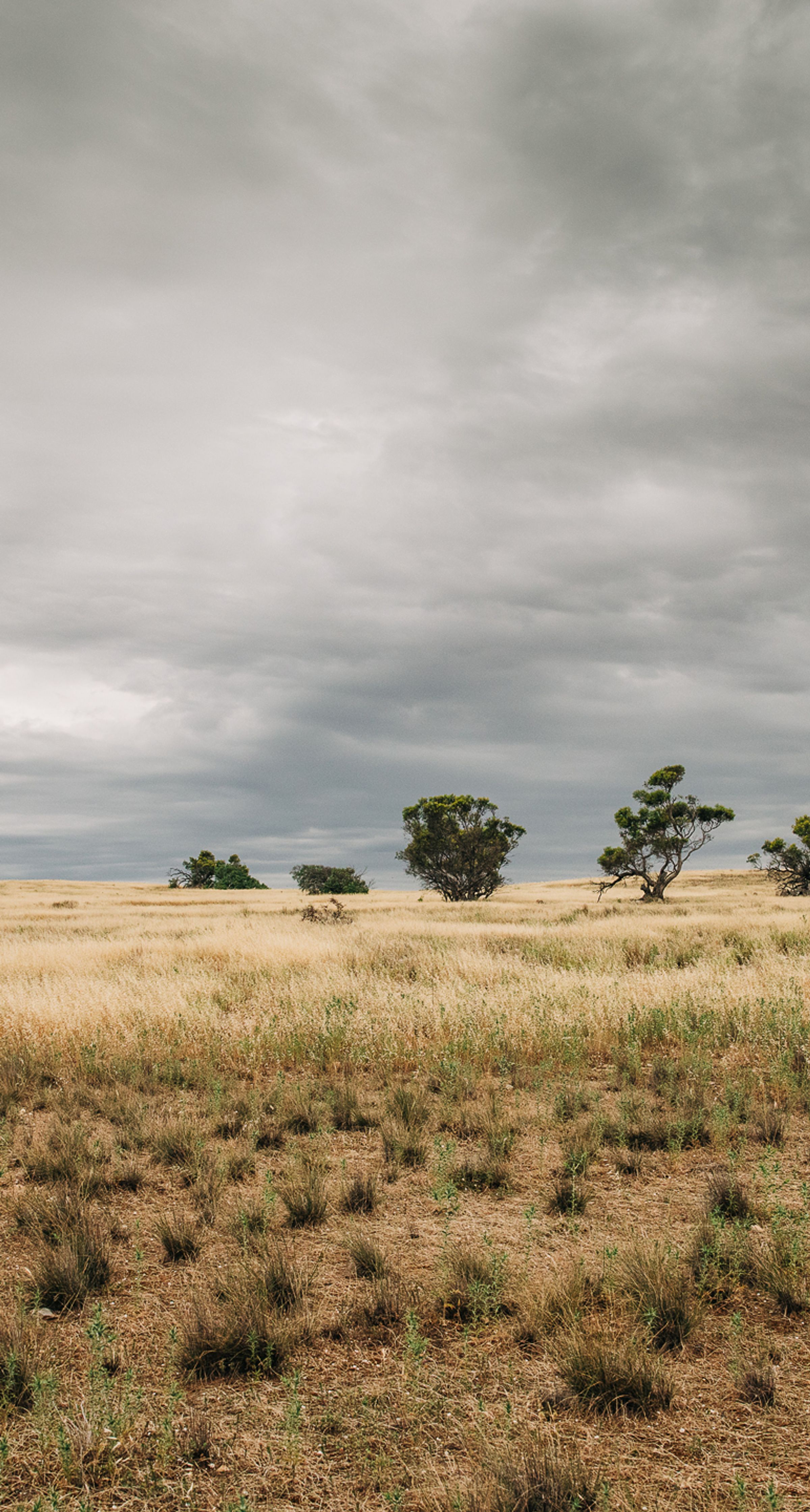 Degraded landscape at Talia