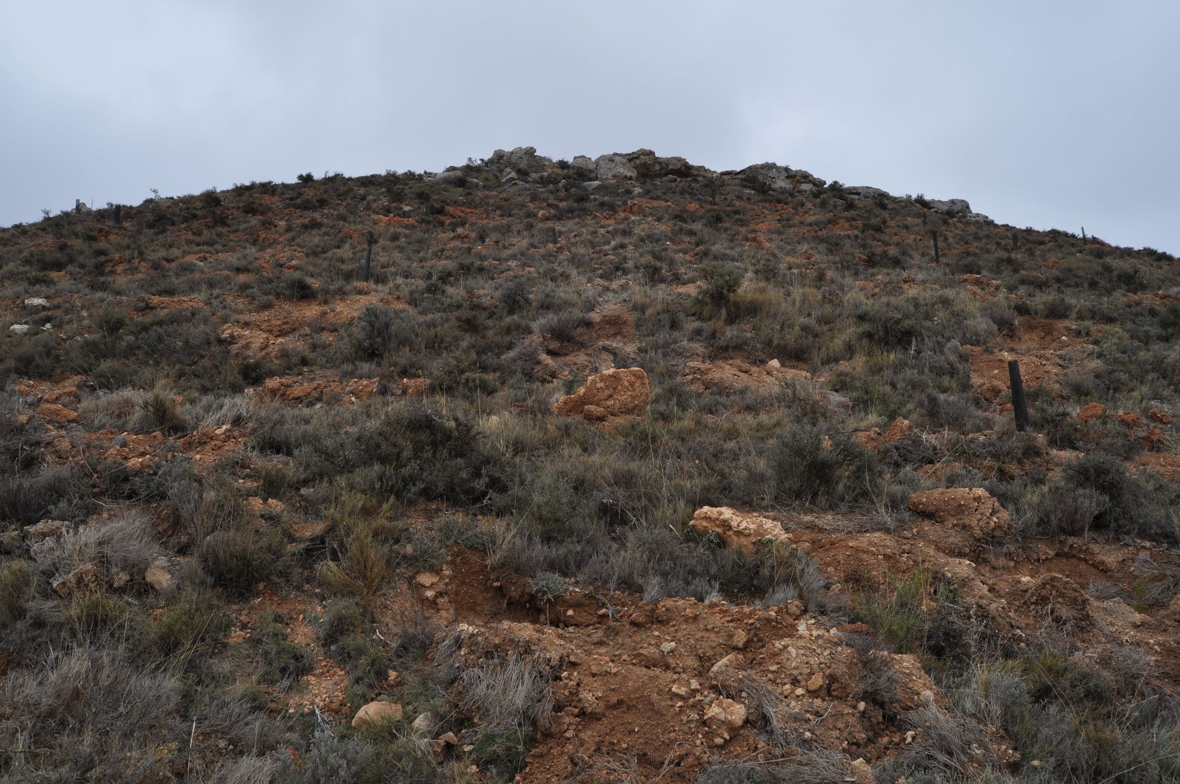 Rural Abandonment Reforestation Project, Grisel