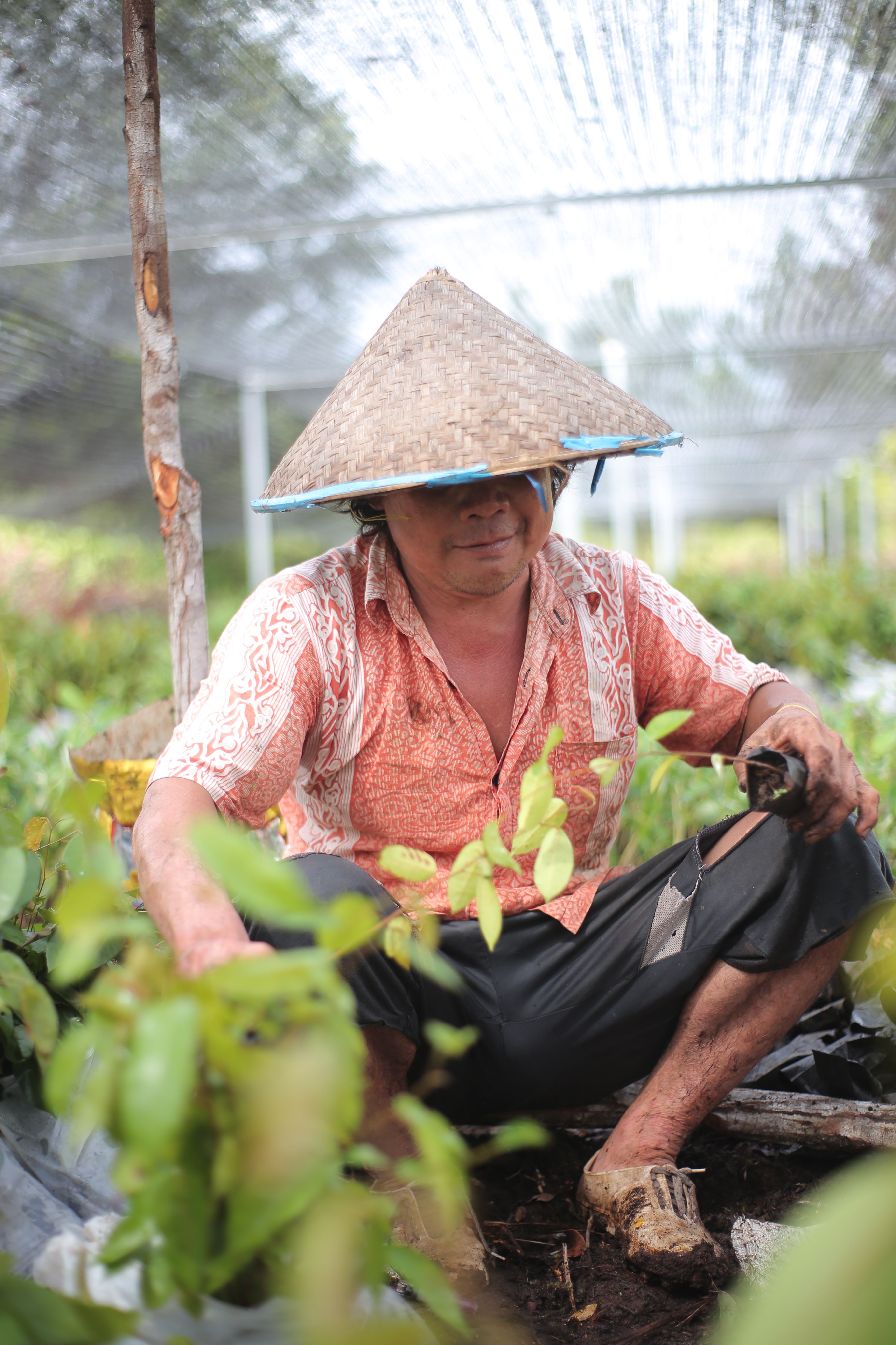Working in Mawas nursery