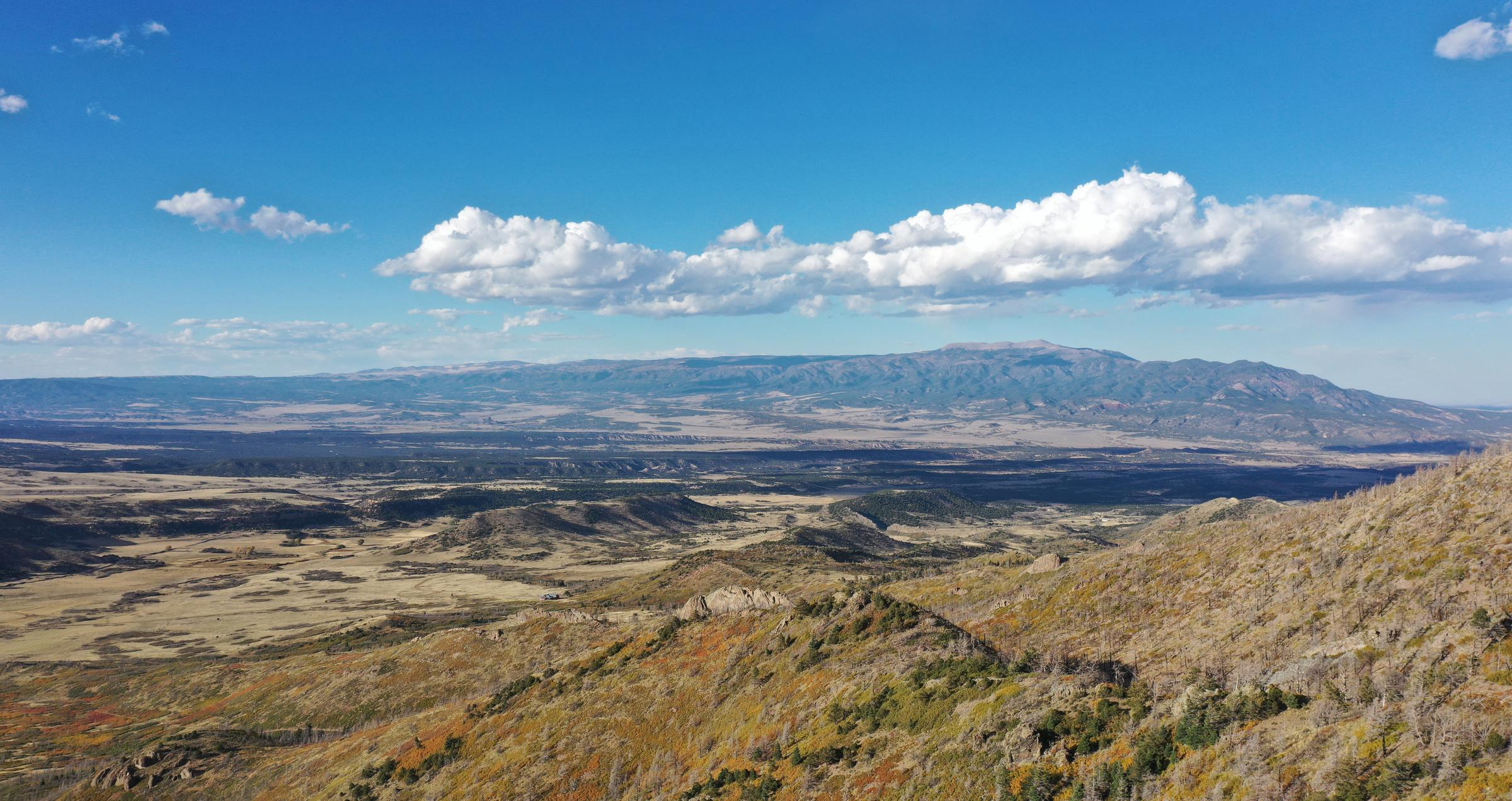 Colorado State Land Board Approves Landmark Reforestation Lease