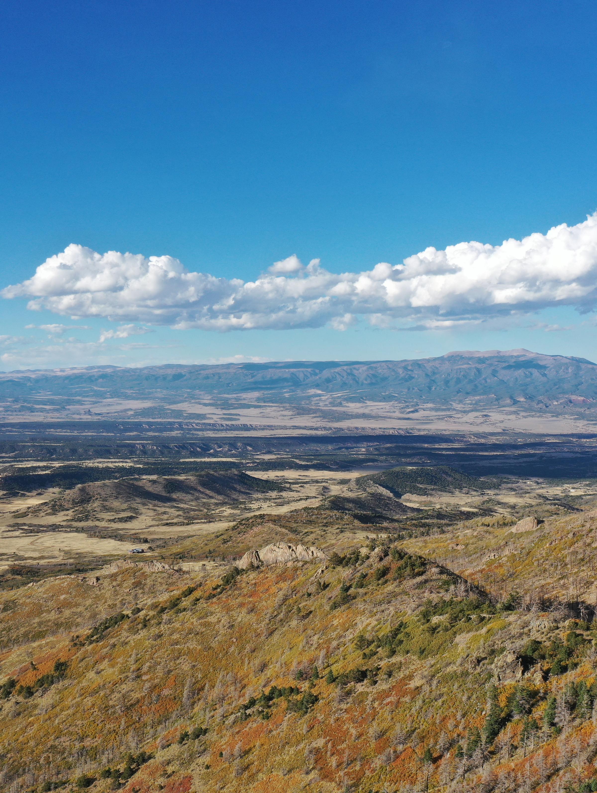 Colorado State Land Board Approves Landmark Reforestation Lease