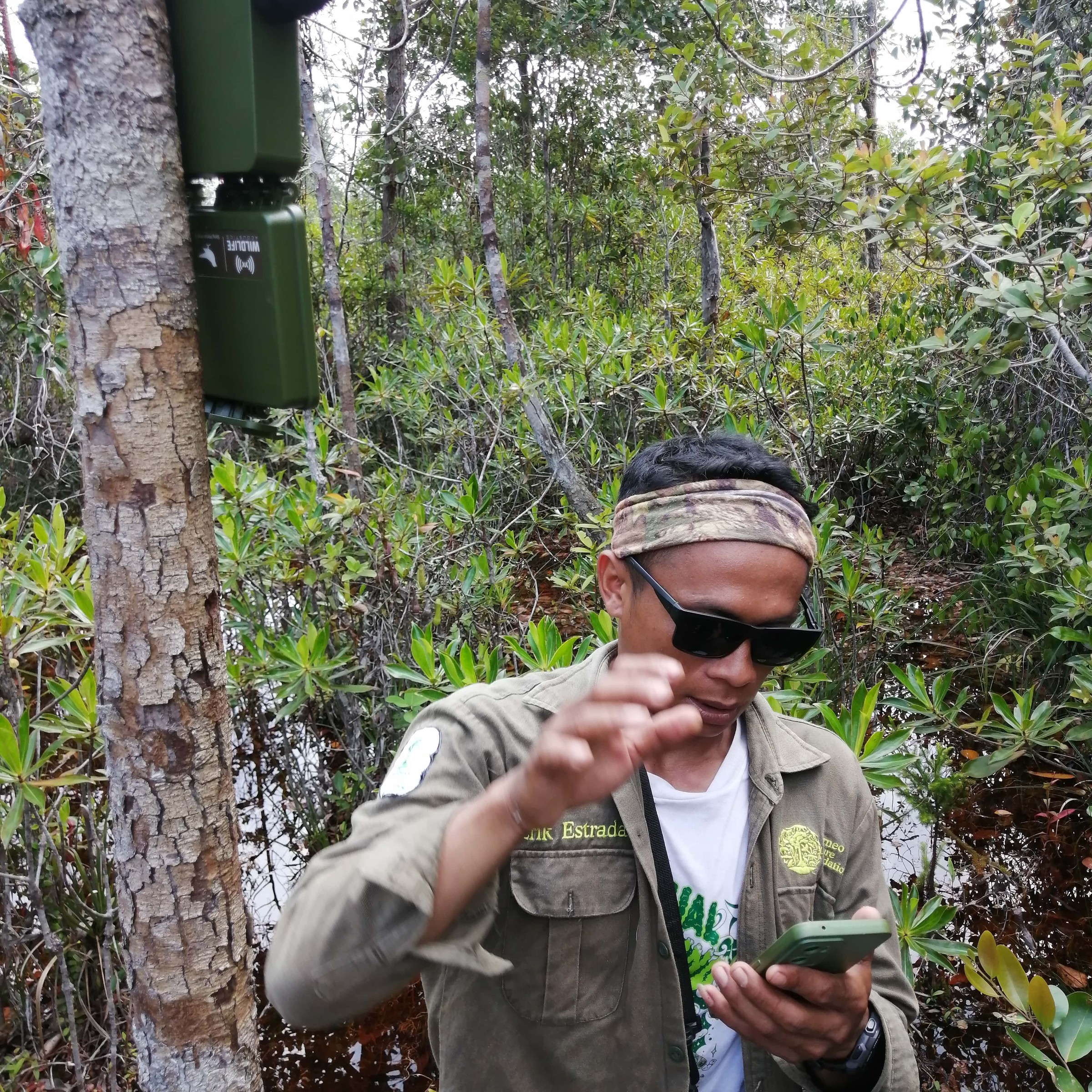 Man in jungle doing scientific field work