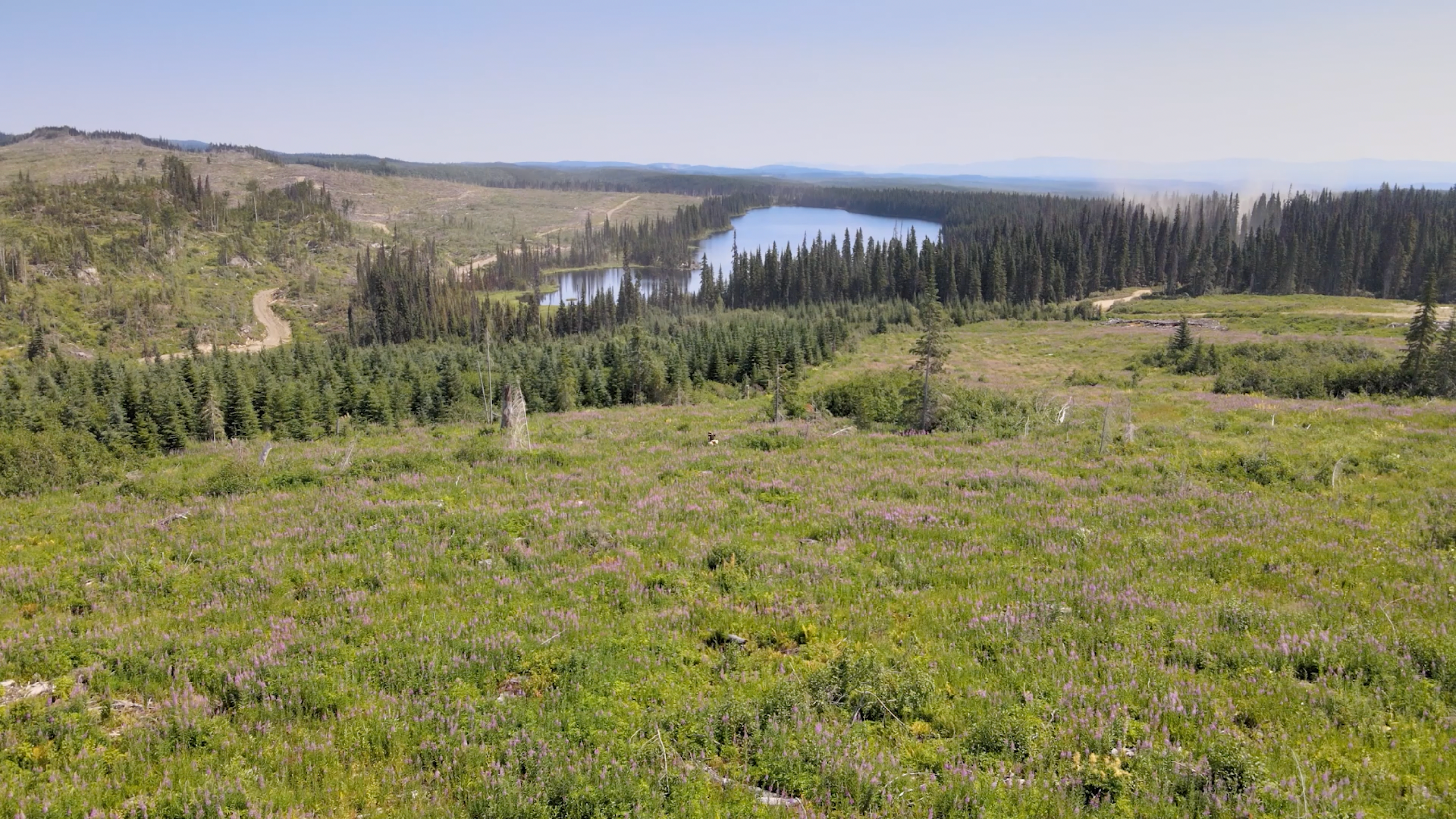 land British Colombia, Canada