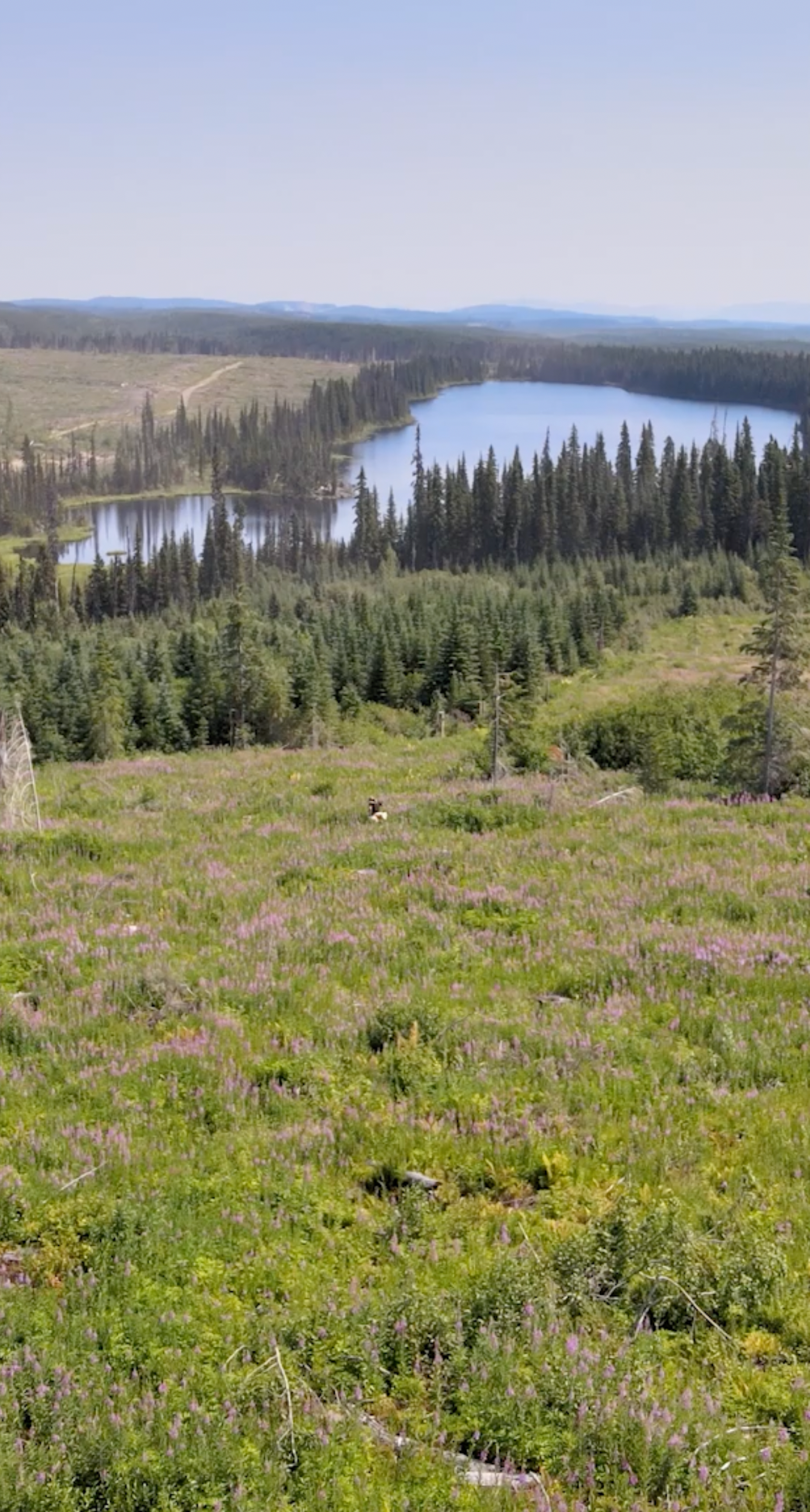 land British Colombia, Canada