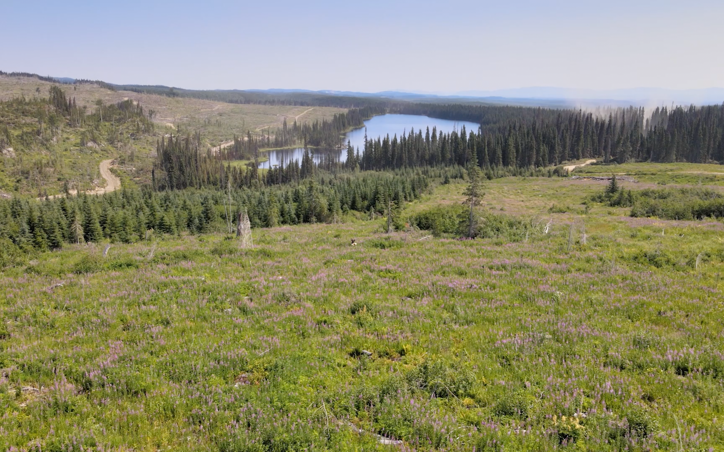 land British Colombia, Canada