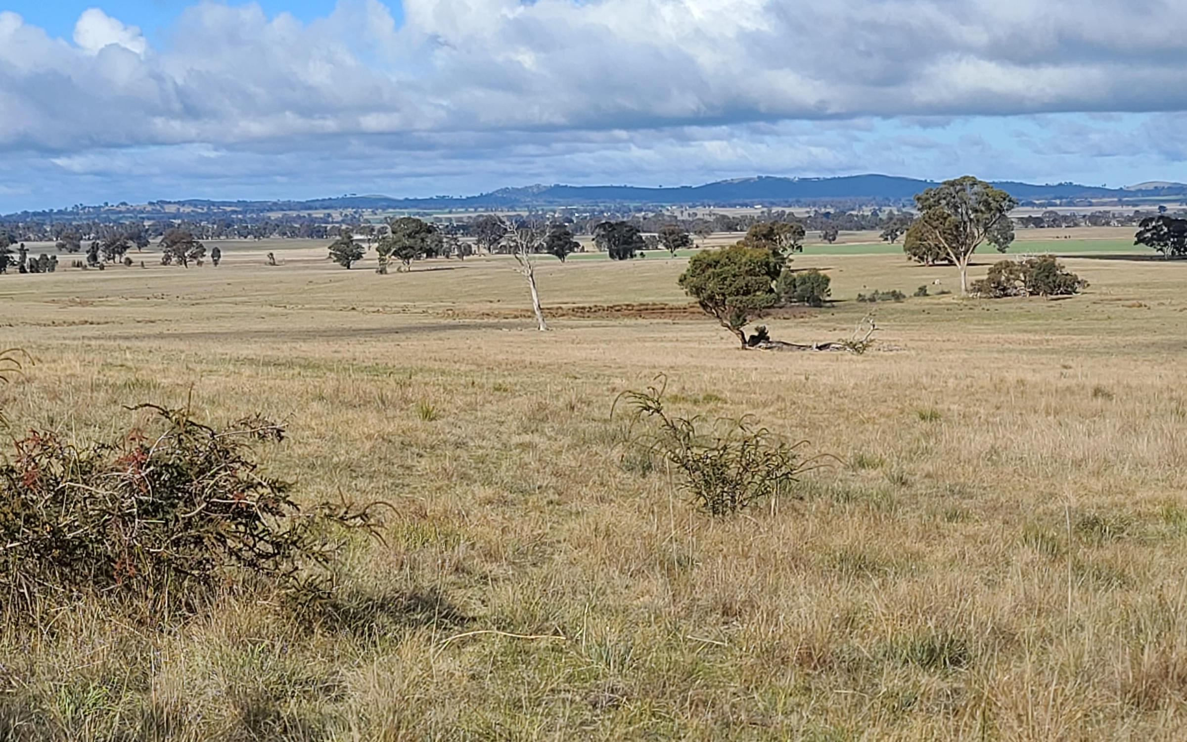 Degraded land in Victoria