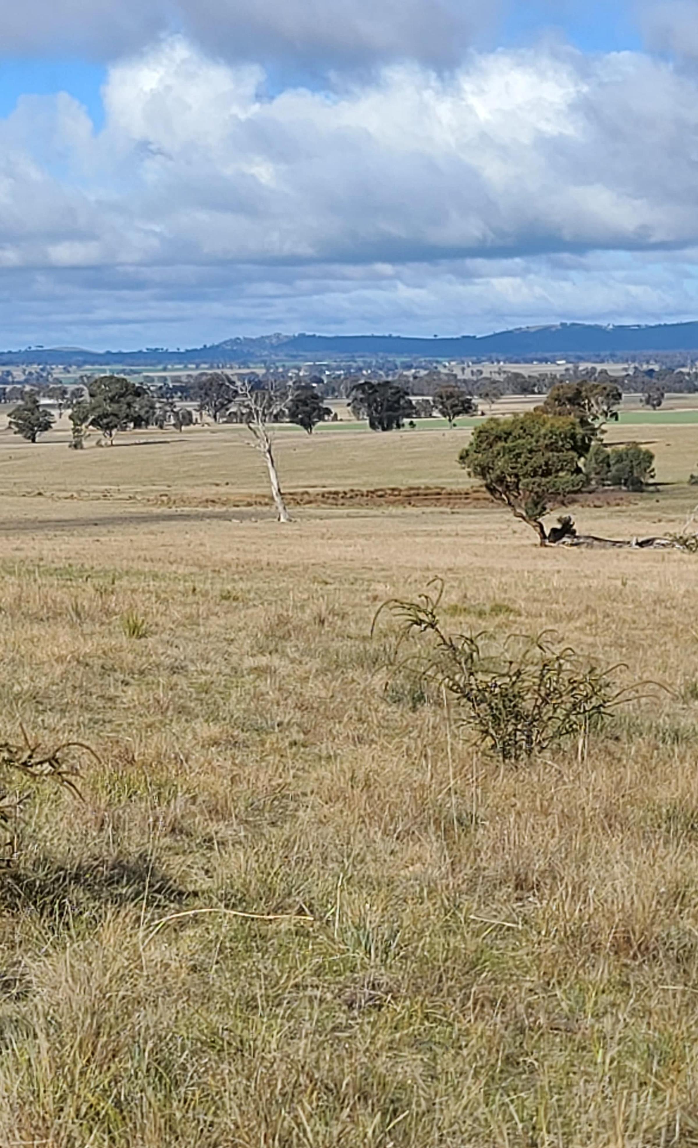 Degraded land in Victoria