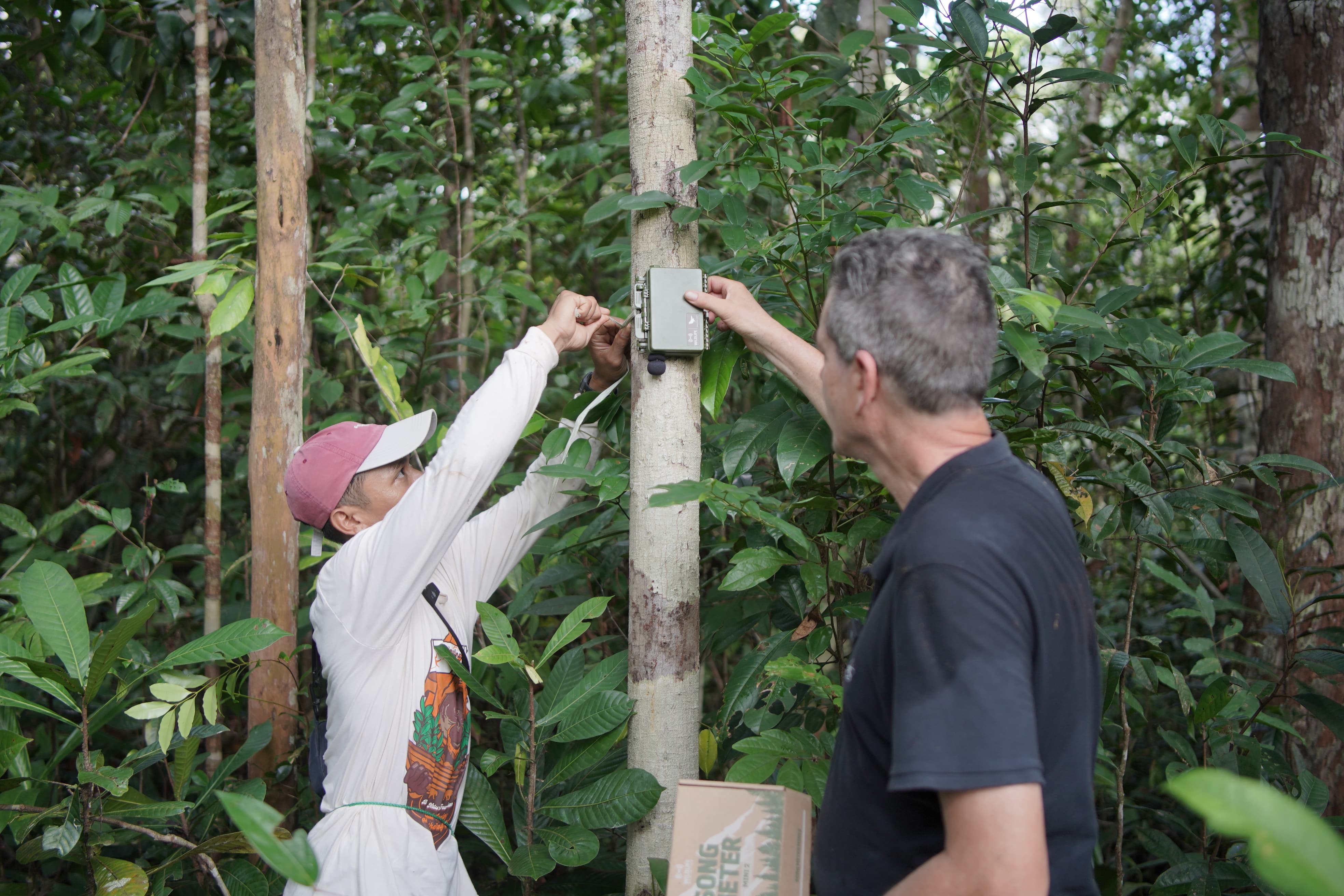 Two men doing bioacoustics monitoring in Borneo