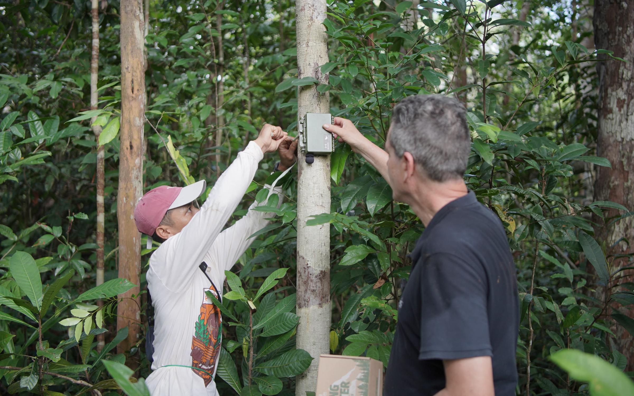 Two men doing bioacoustics monitoring in Borneo