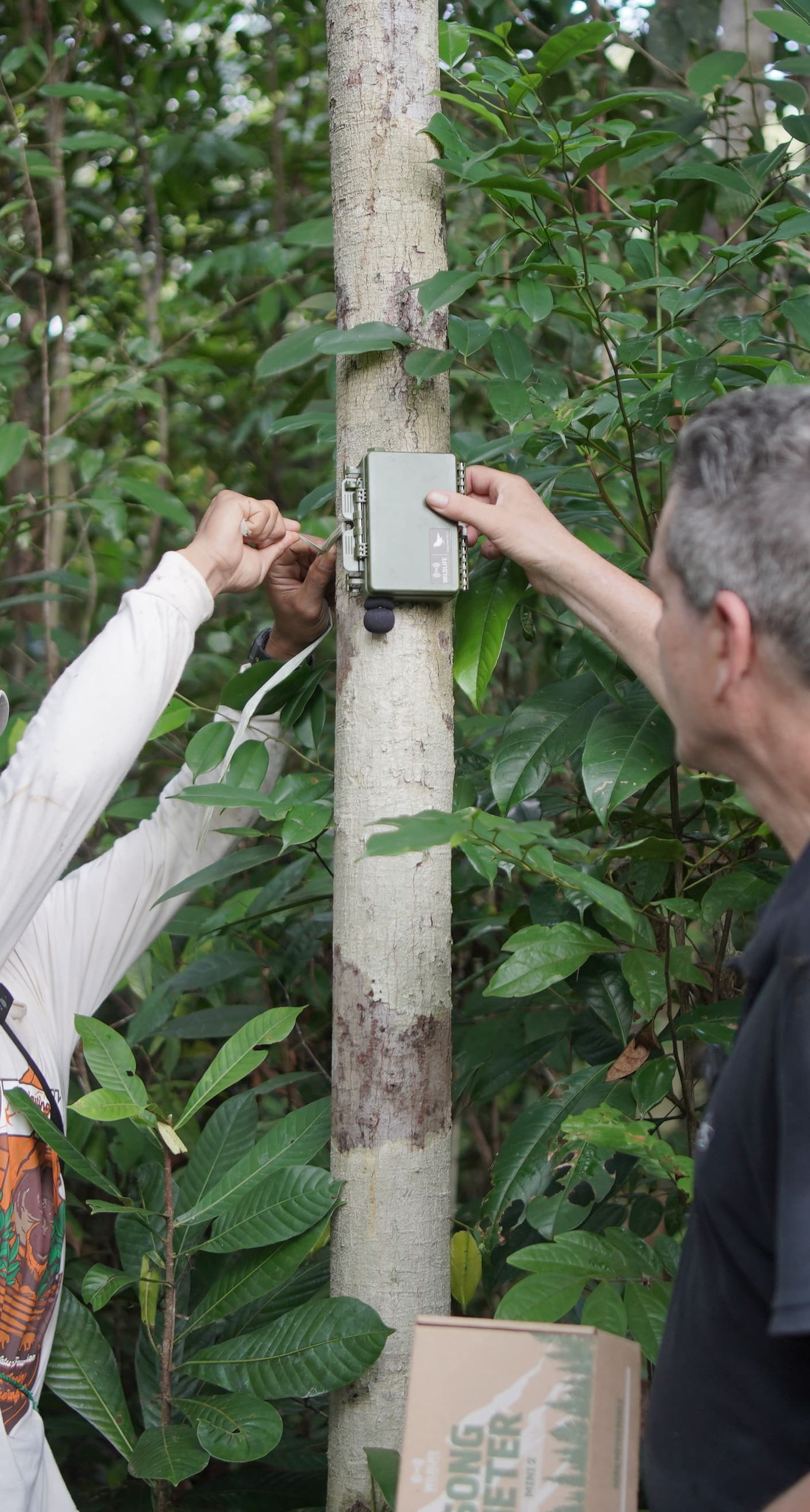 Two men doing bioacoustics monitoring in Borneo