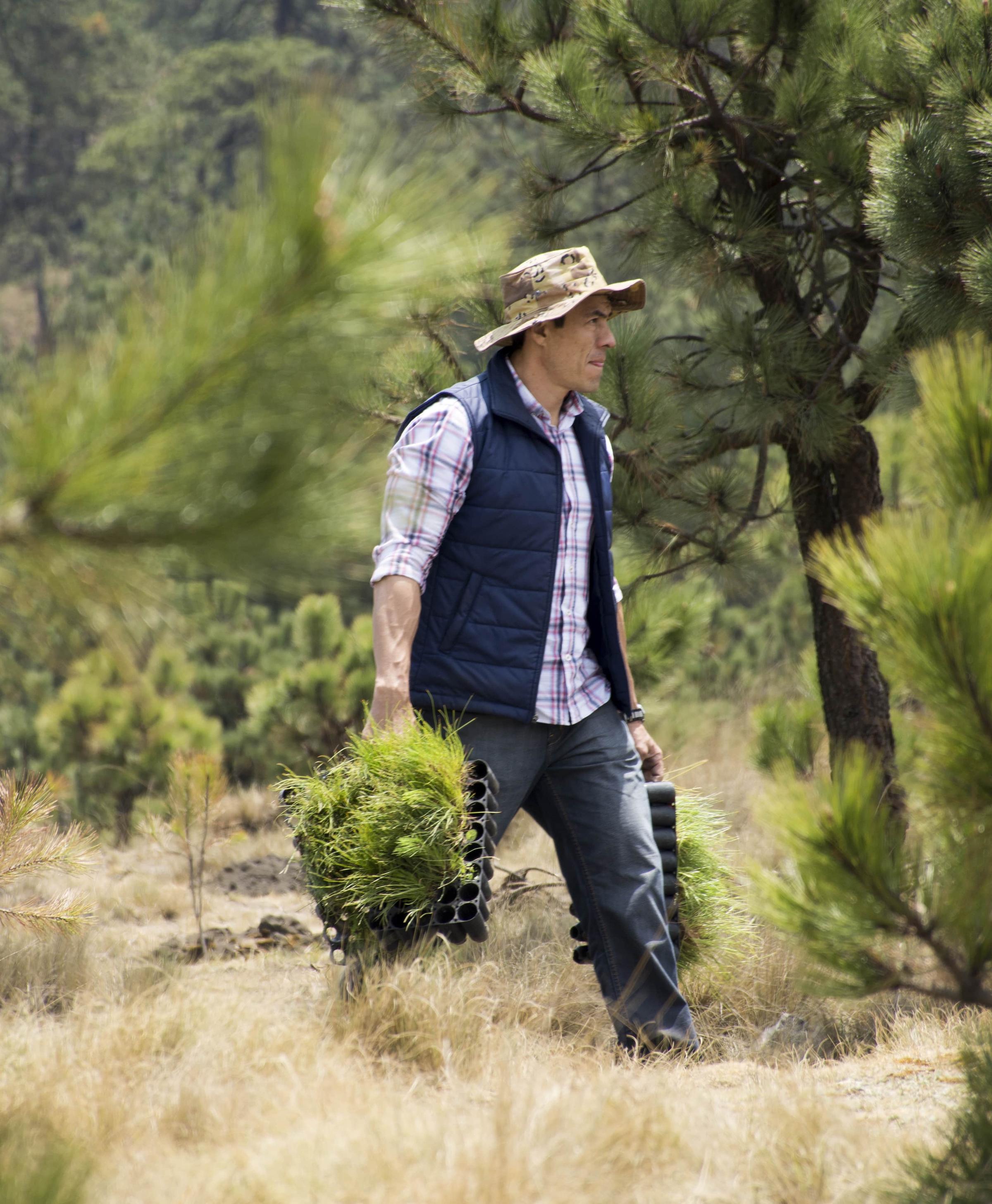 Indigenous man carrying seedlings on reforestation site