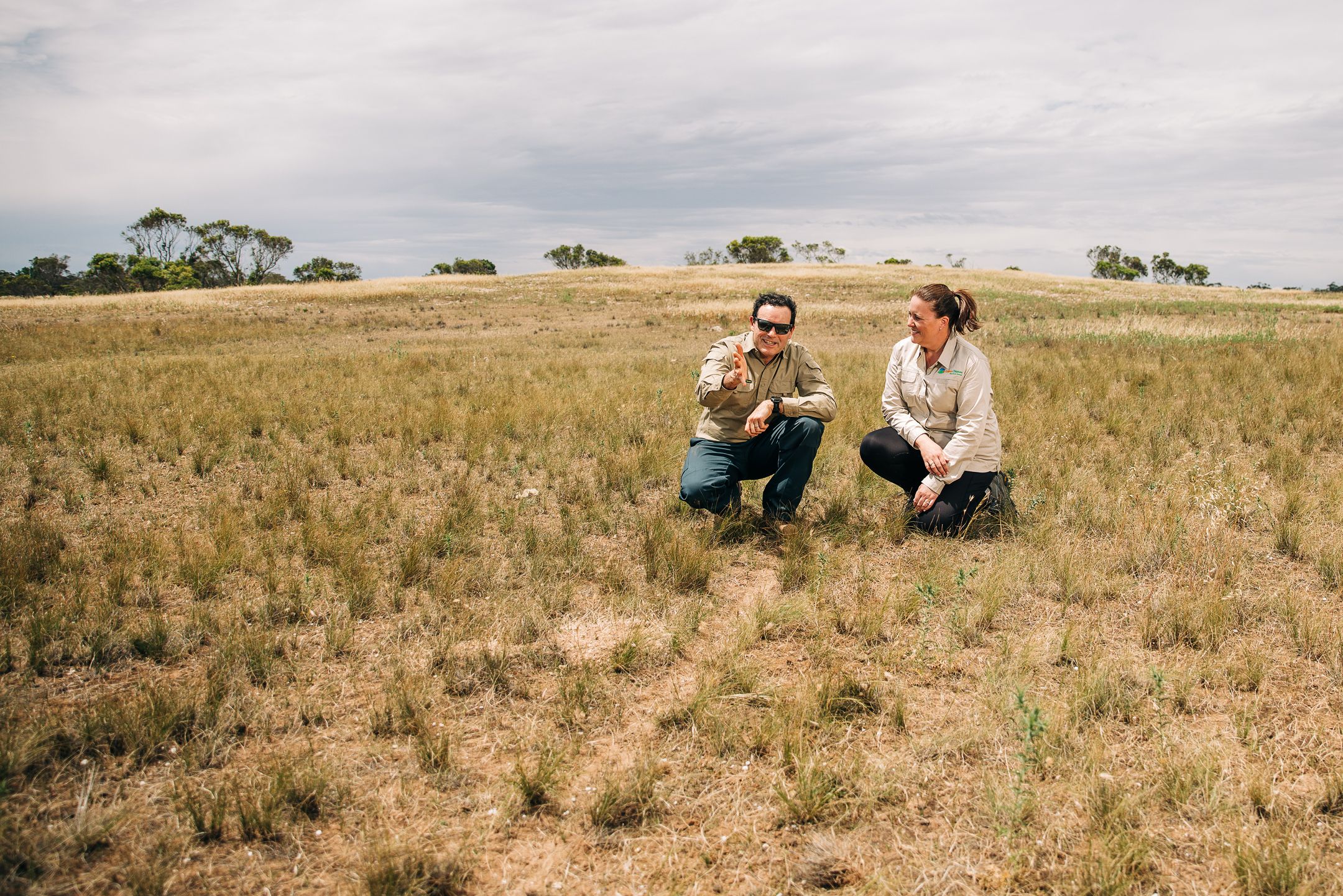 Global partnership delivers large-scale reforestation and high-integrity carbon project in South Australia