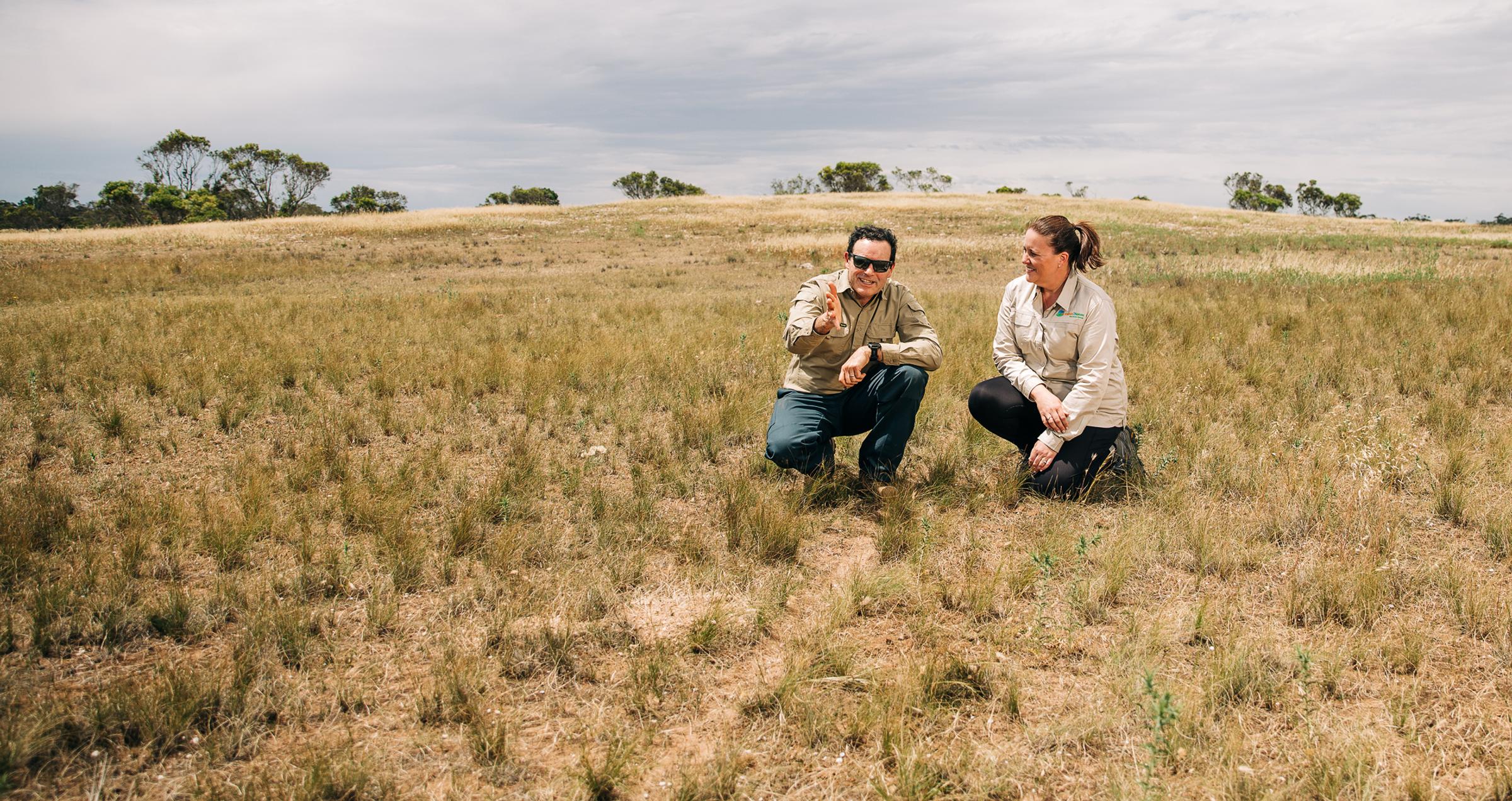 Global partnership delivers large-scale reforestation and high-integrity carbon project in South Australia