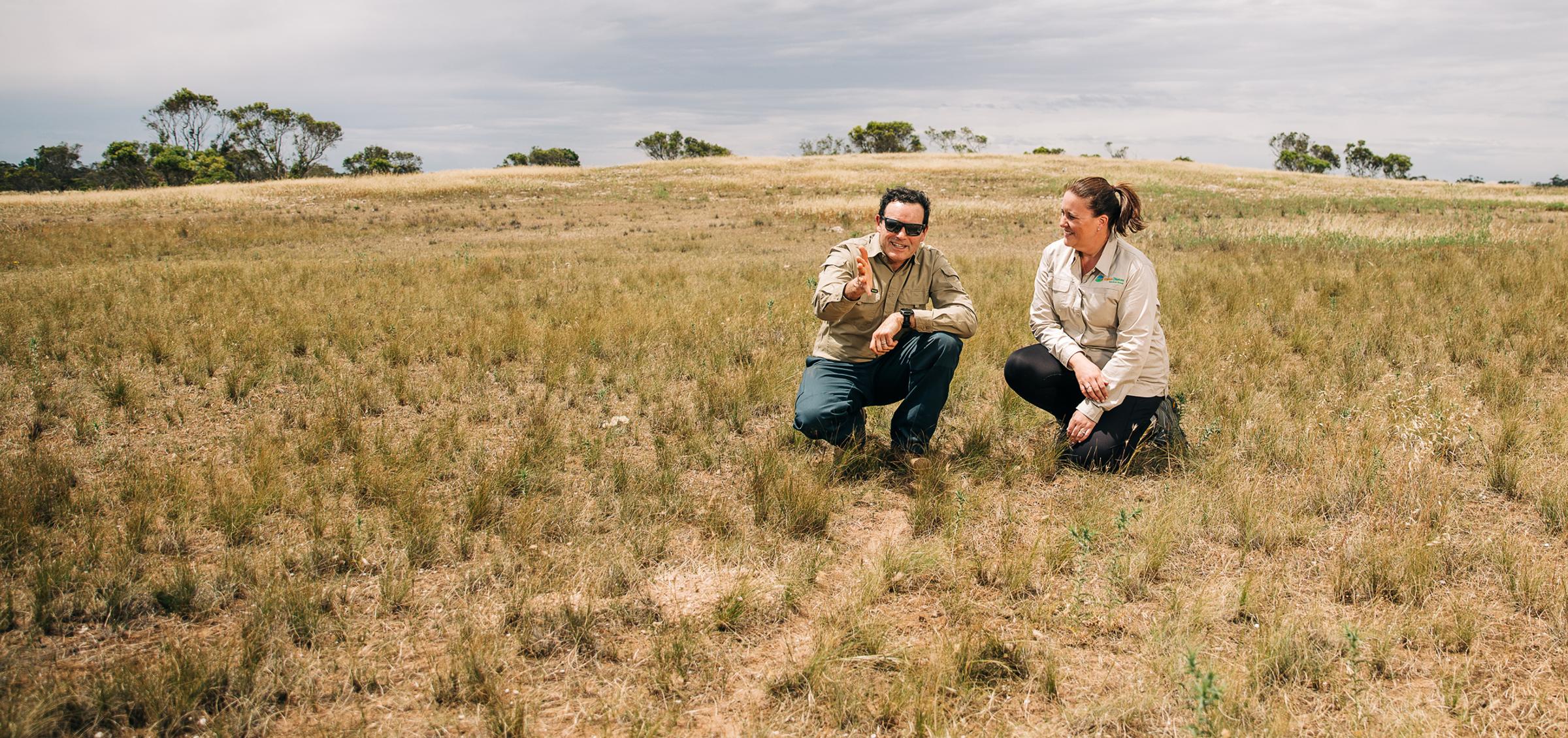 Global partnership delivers large-scale reforestation and high-integrity carbon project in South Australia