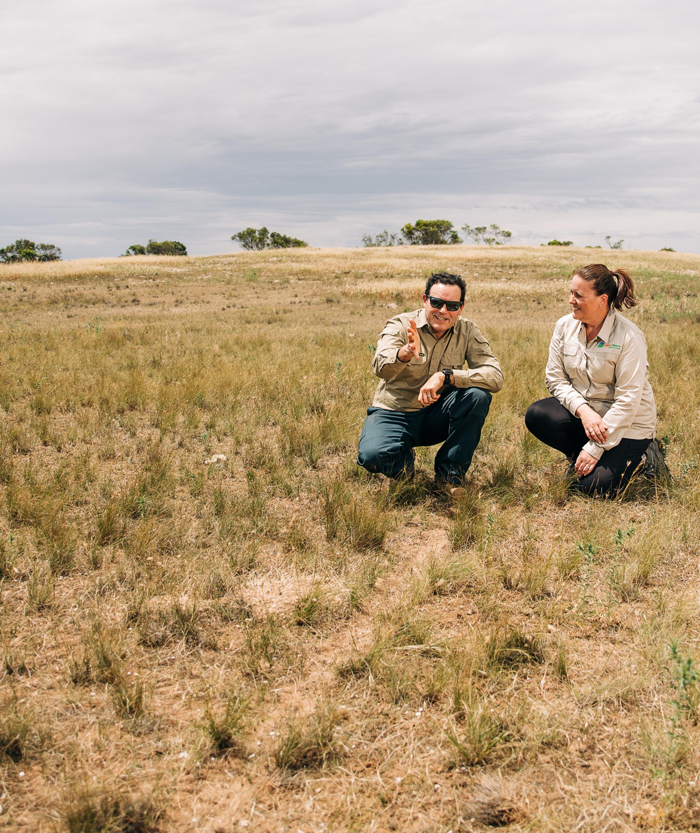 Global partnership delivers large-scale reforestation and high-integrity carbon project in South Australia
