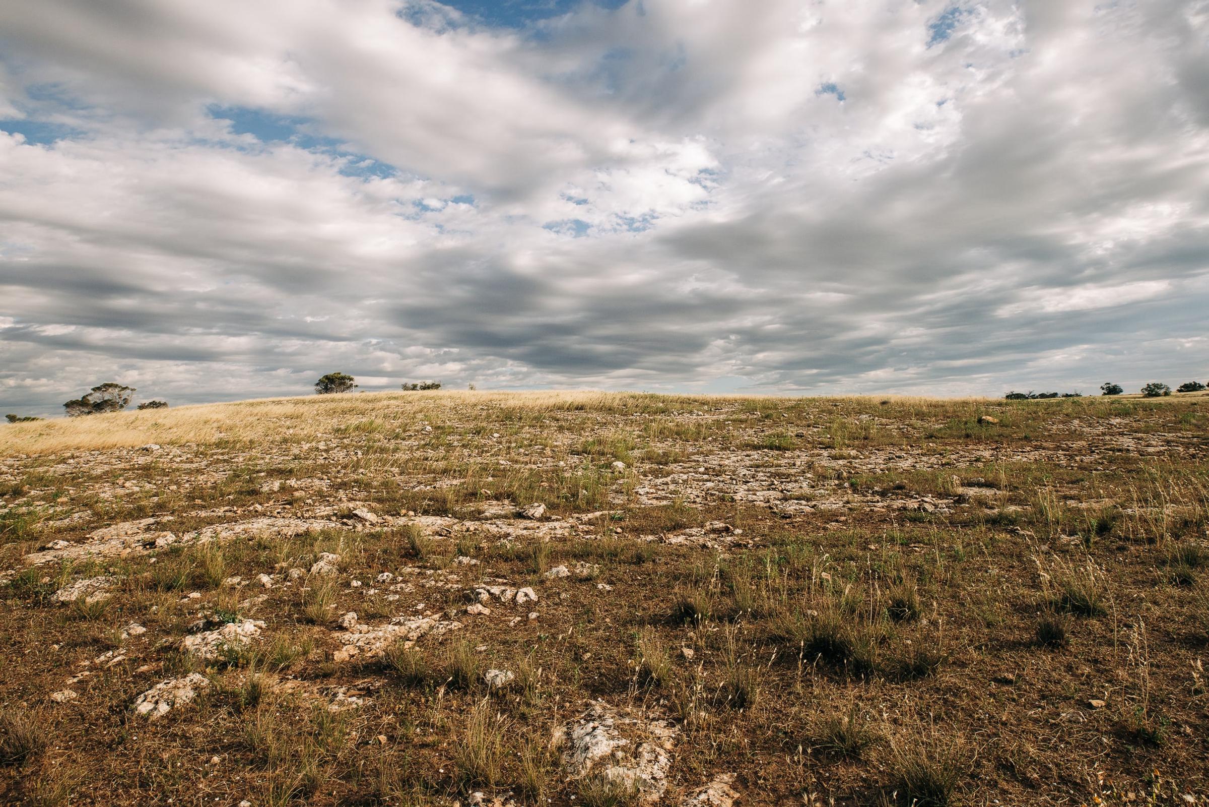 Degraded land at Talia
