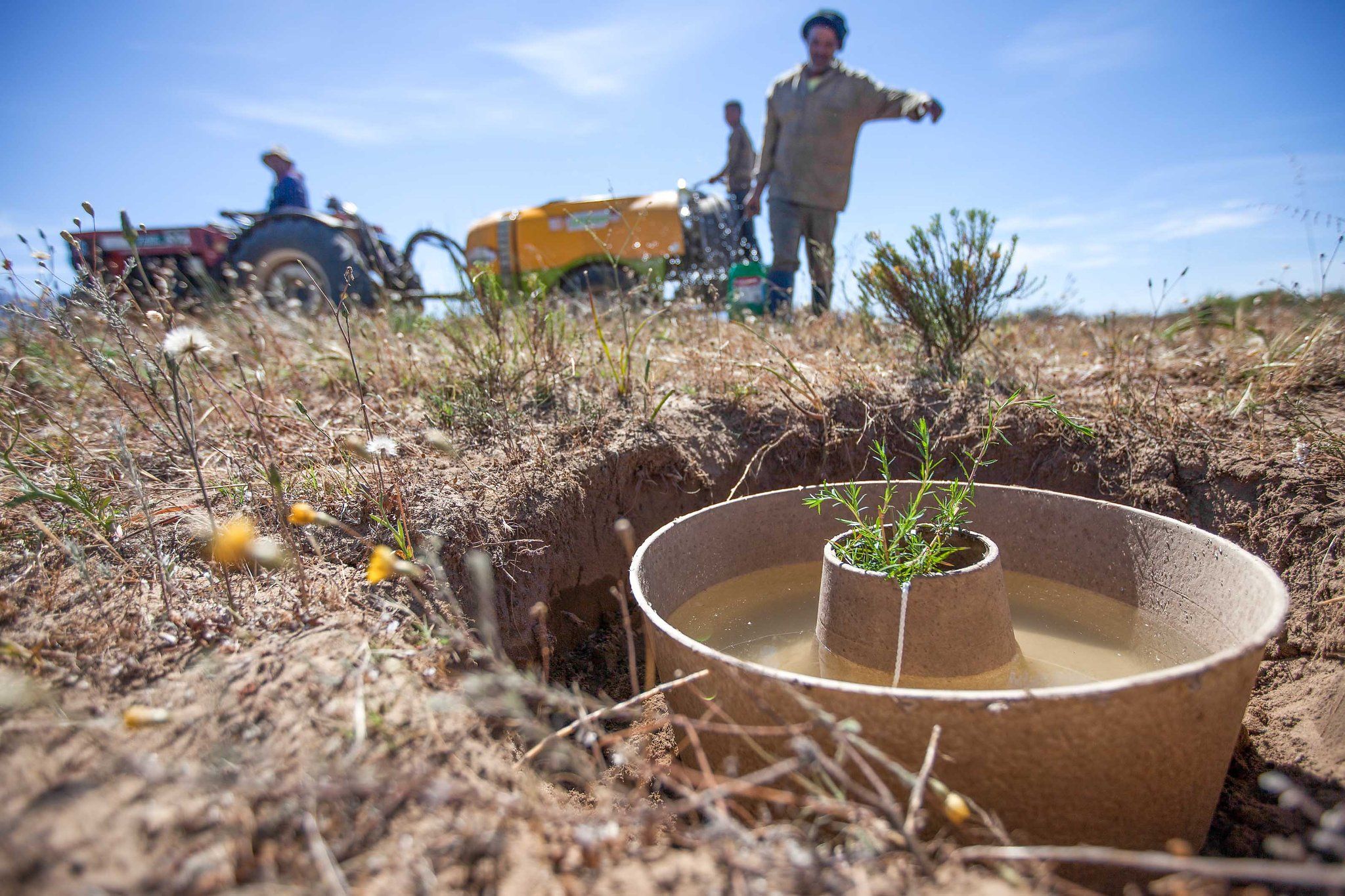 Degraded Land in Australia Understanding the Impact and Solutions