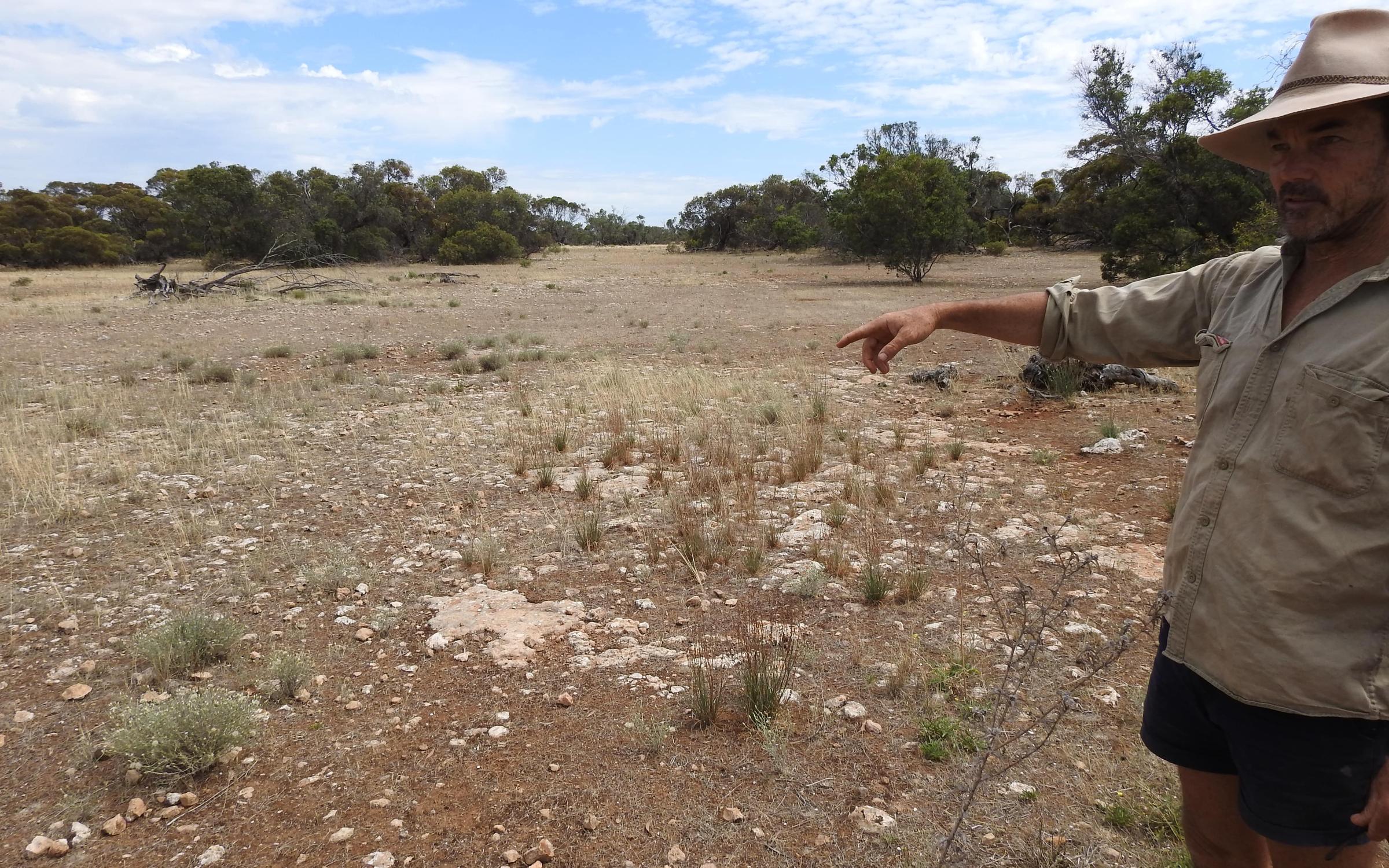 degraded land eyre peninsula