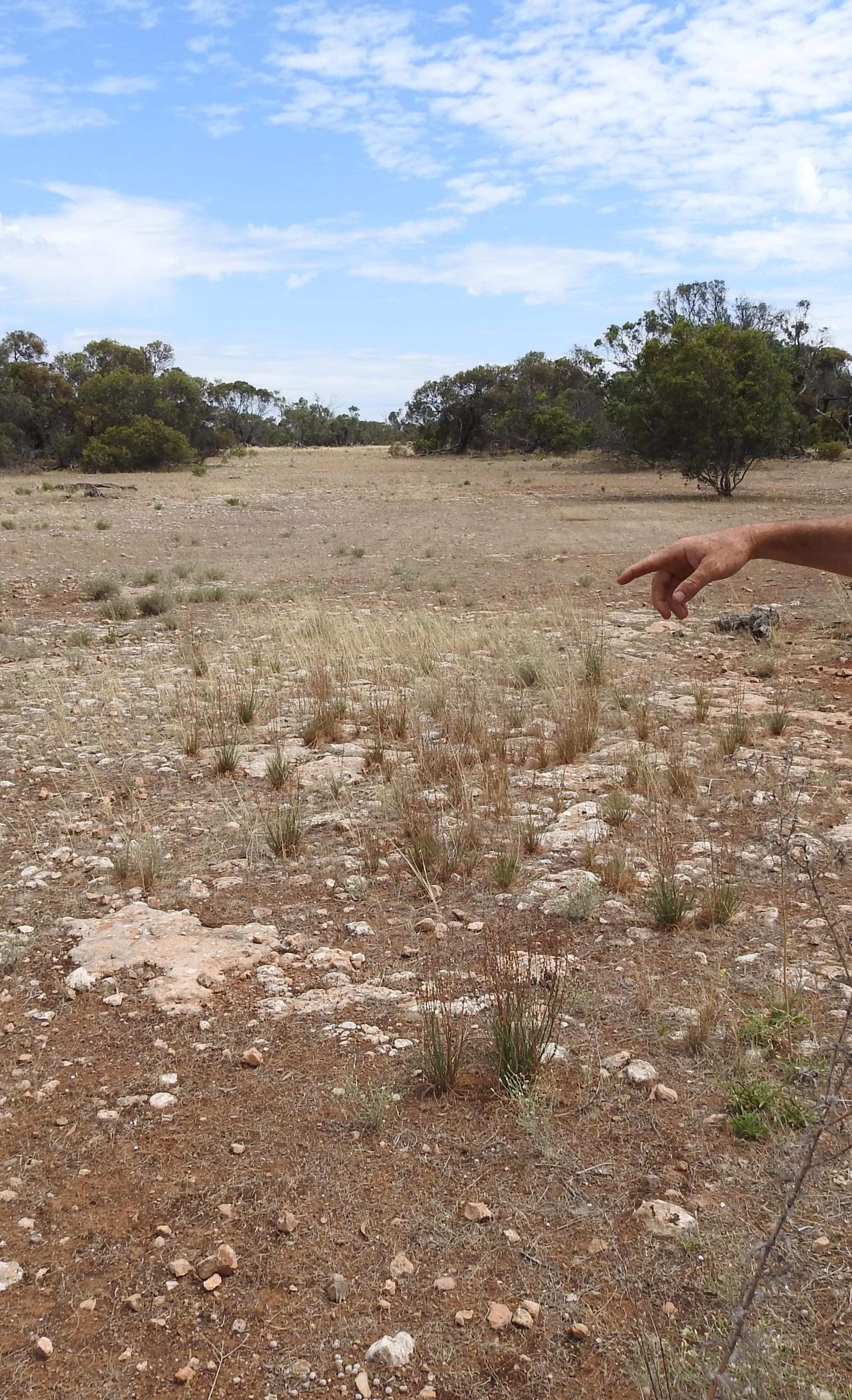 degraded land eyre peninsula