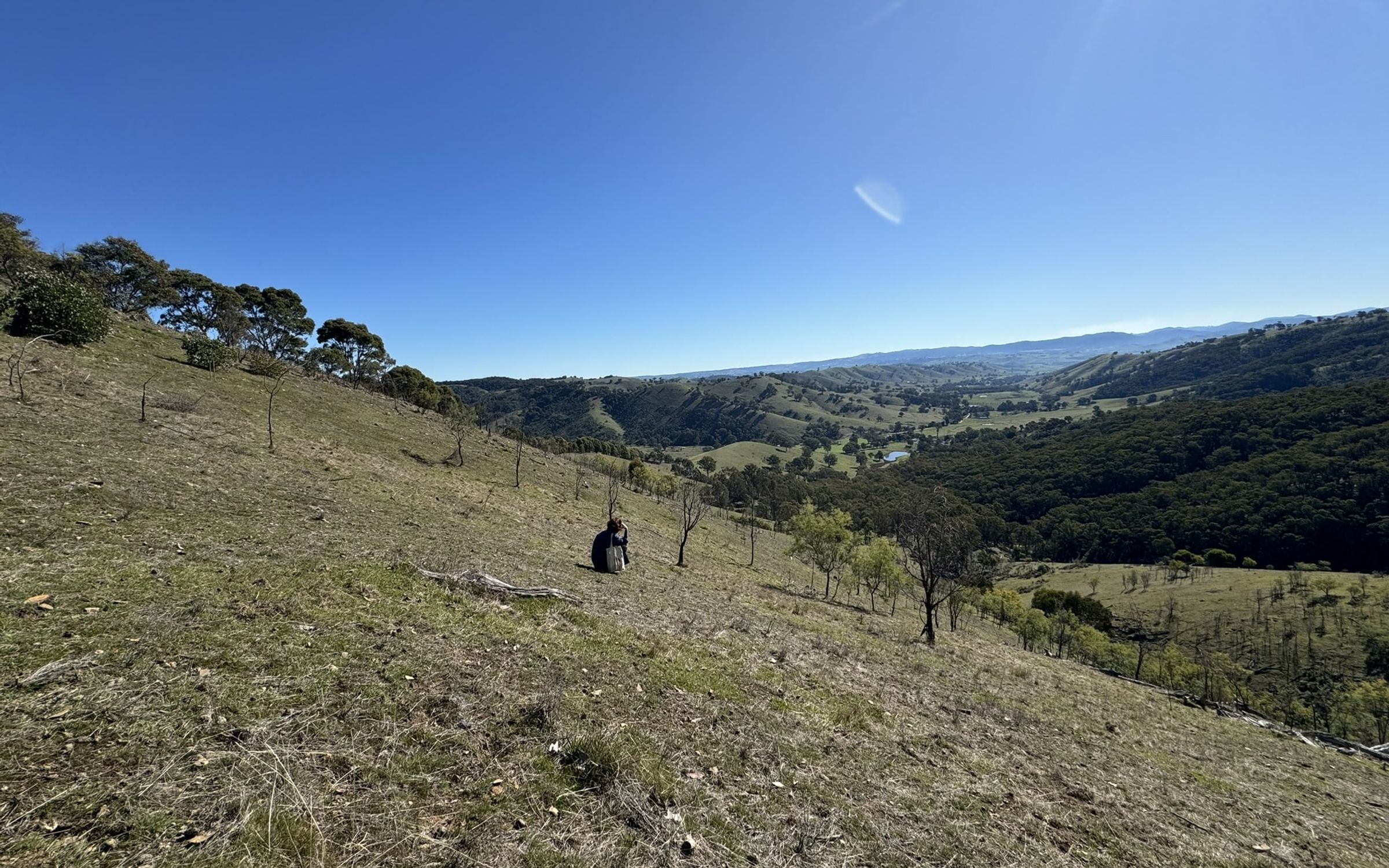 Degraded land