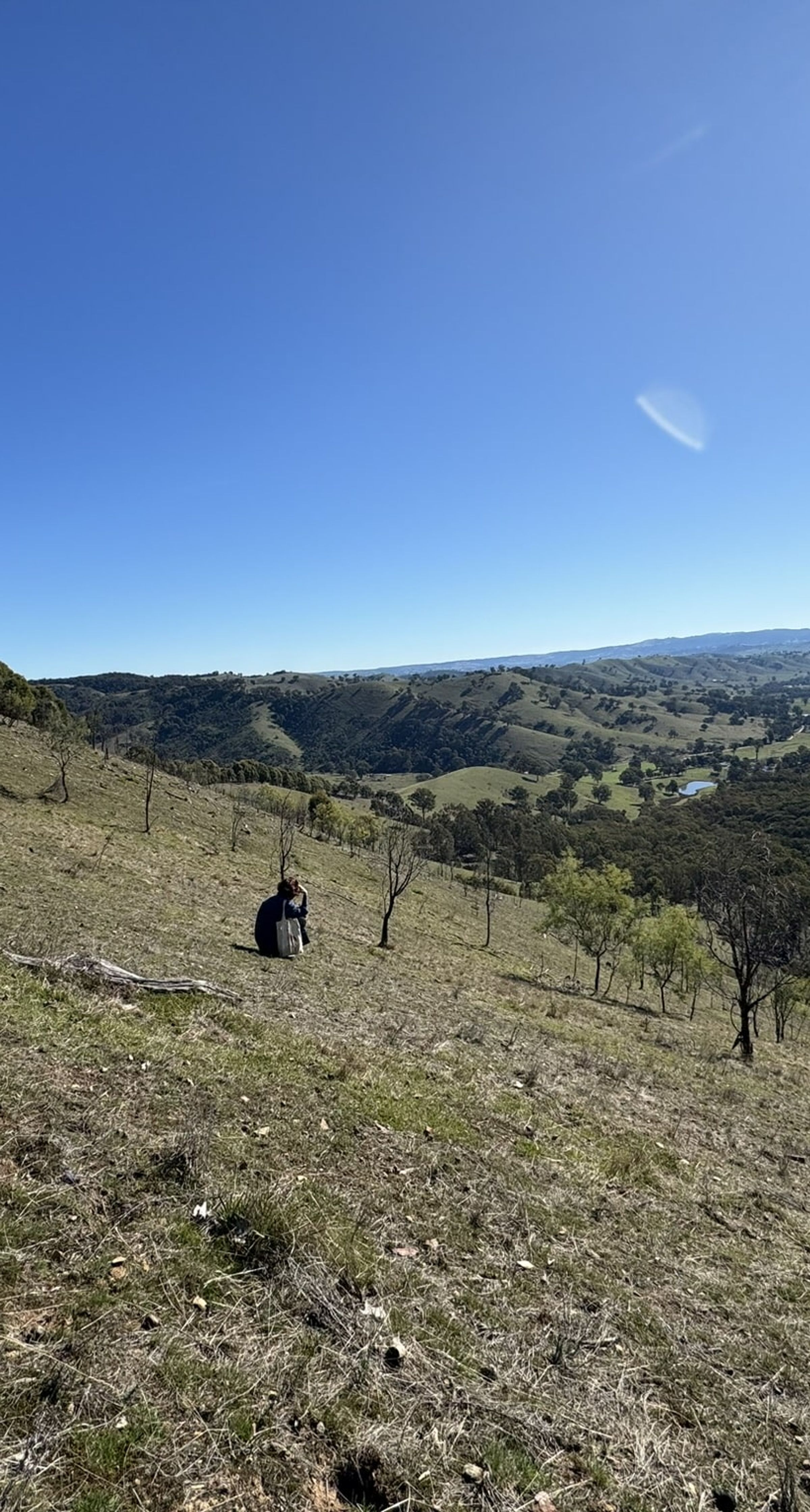 Degraded land