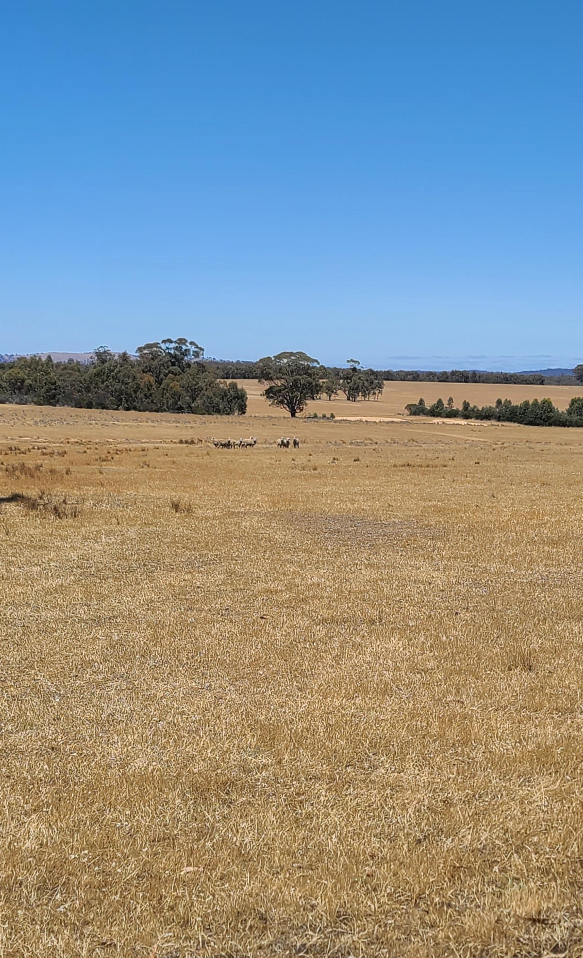 Degraded landscape