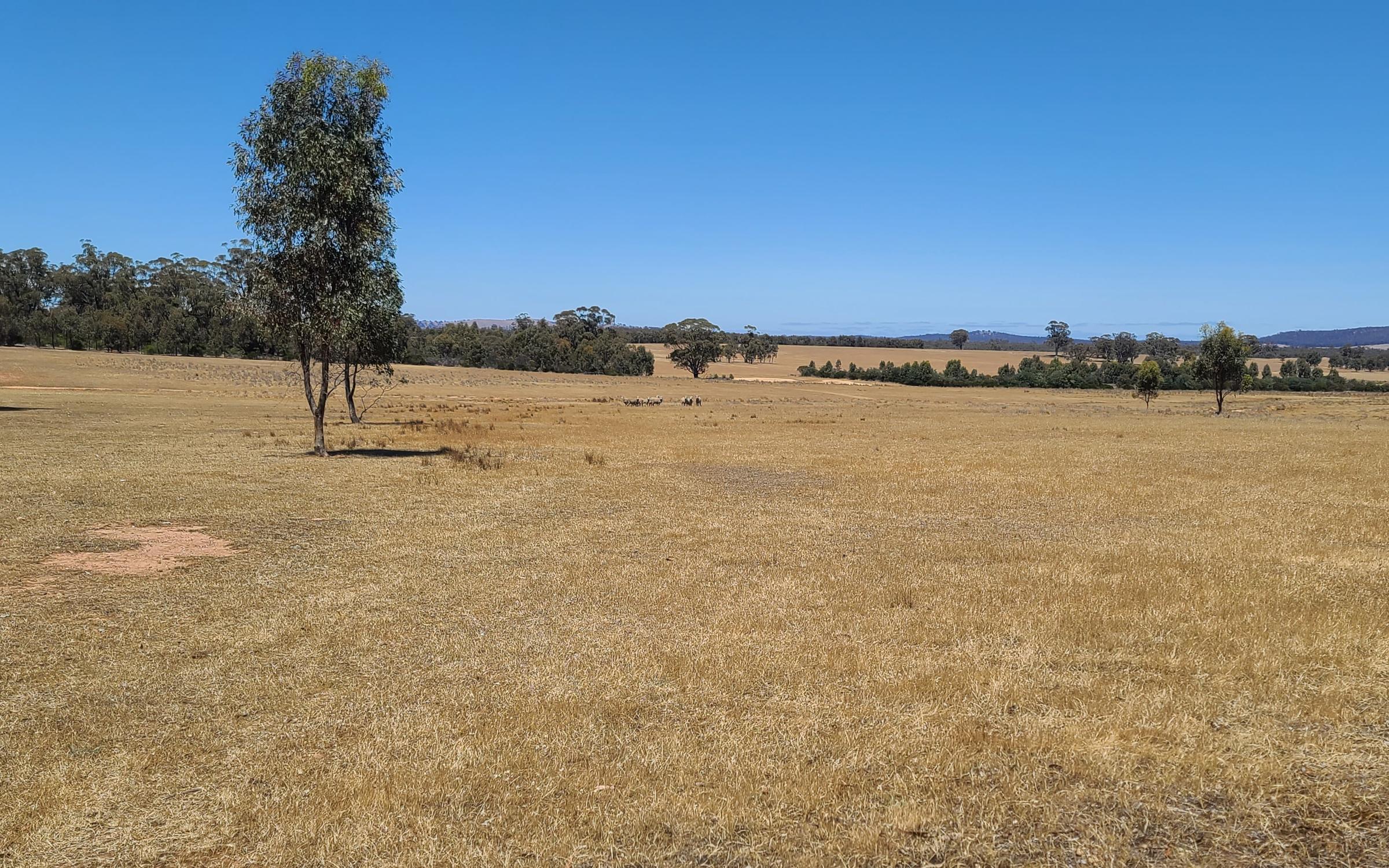 Degraded landscape