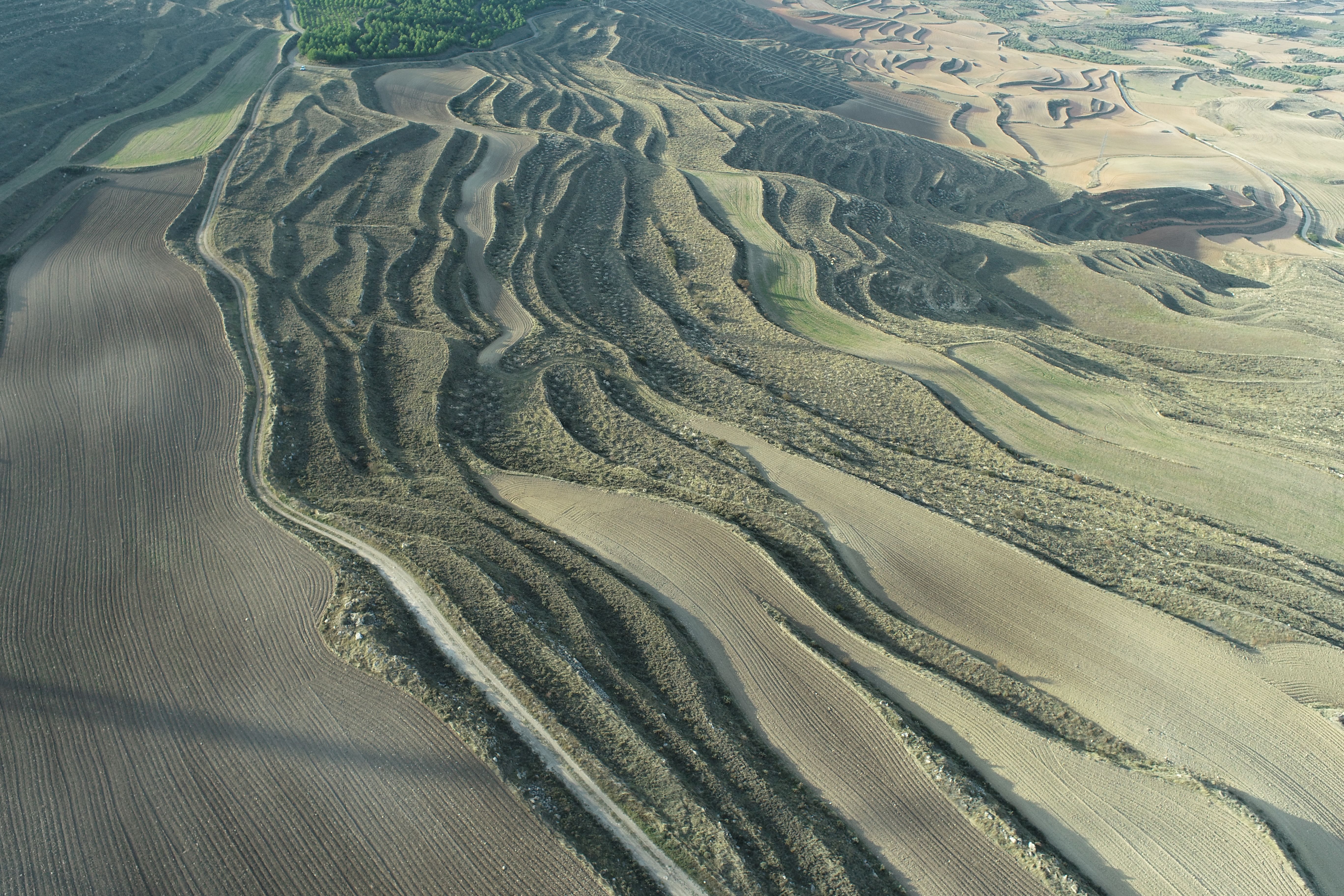 Revertimos el abandono rural en Aragón, España