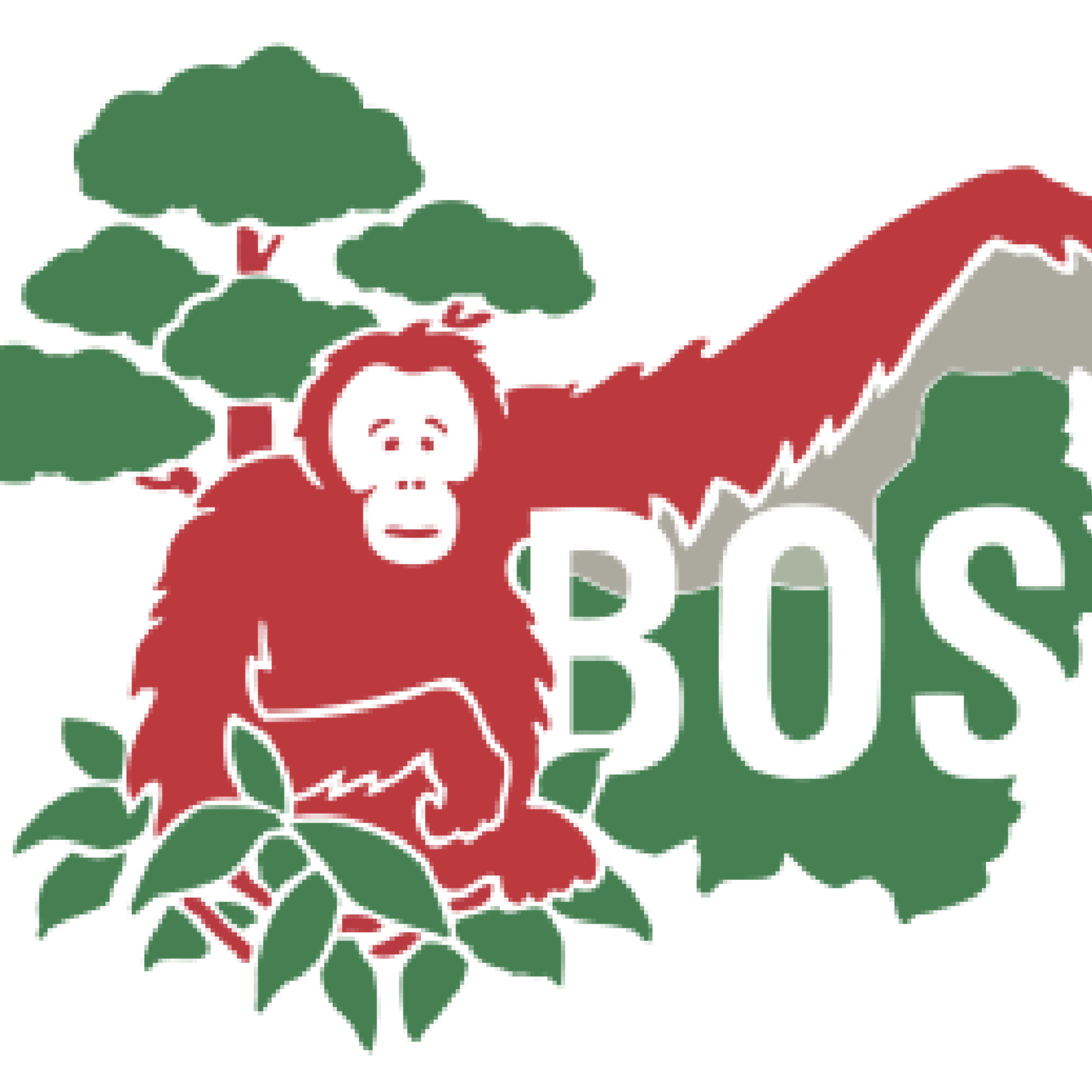 BOSF logo