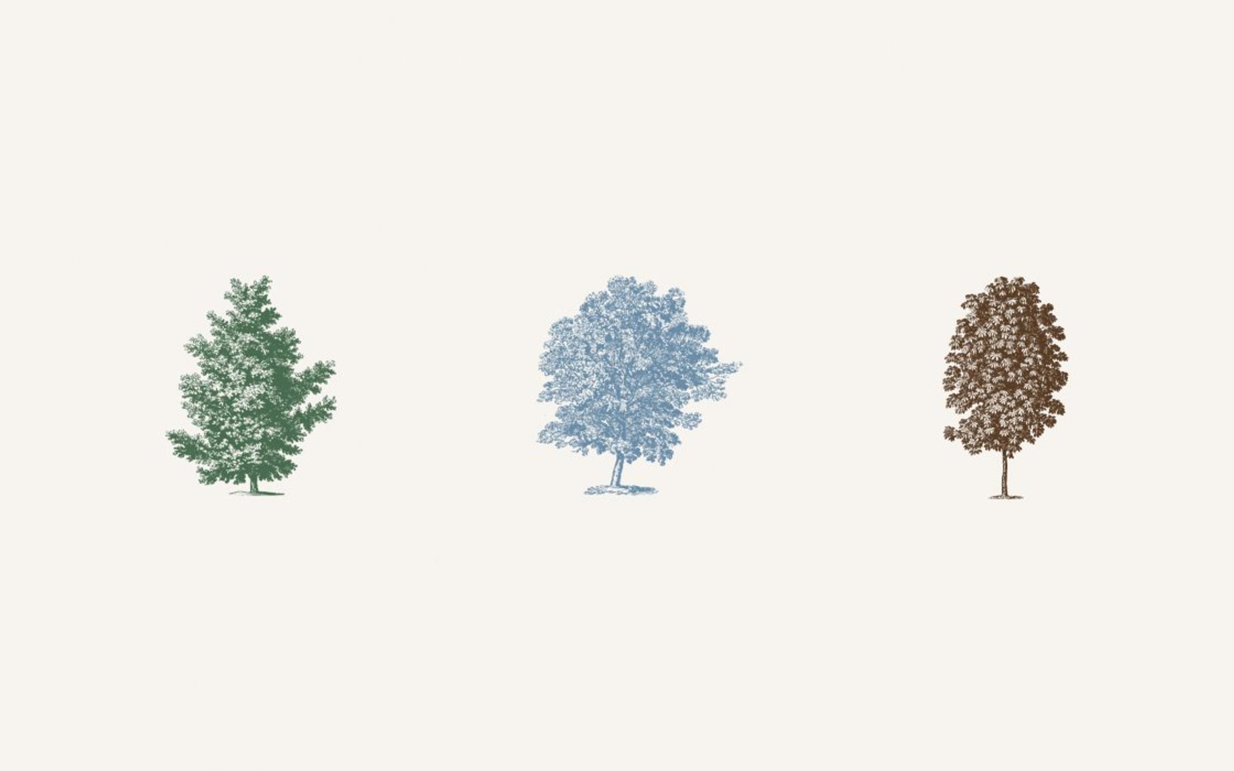 Trees provide long-term ecosystem benefits