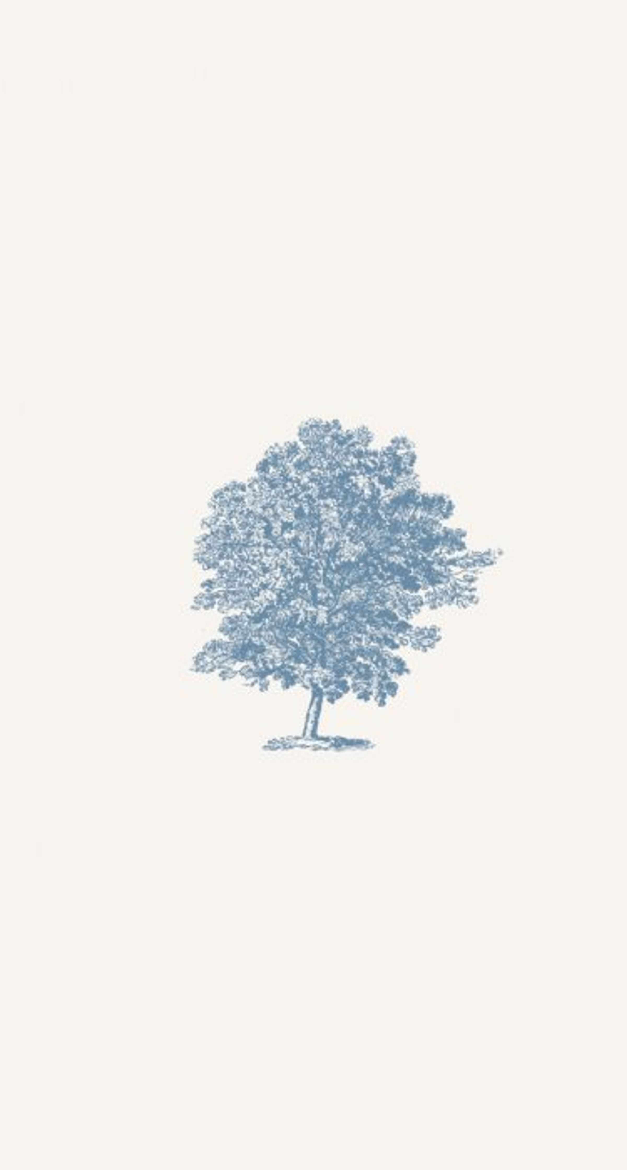 Trees provide long-term ecosystem benefits