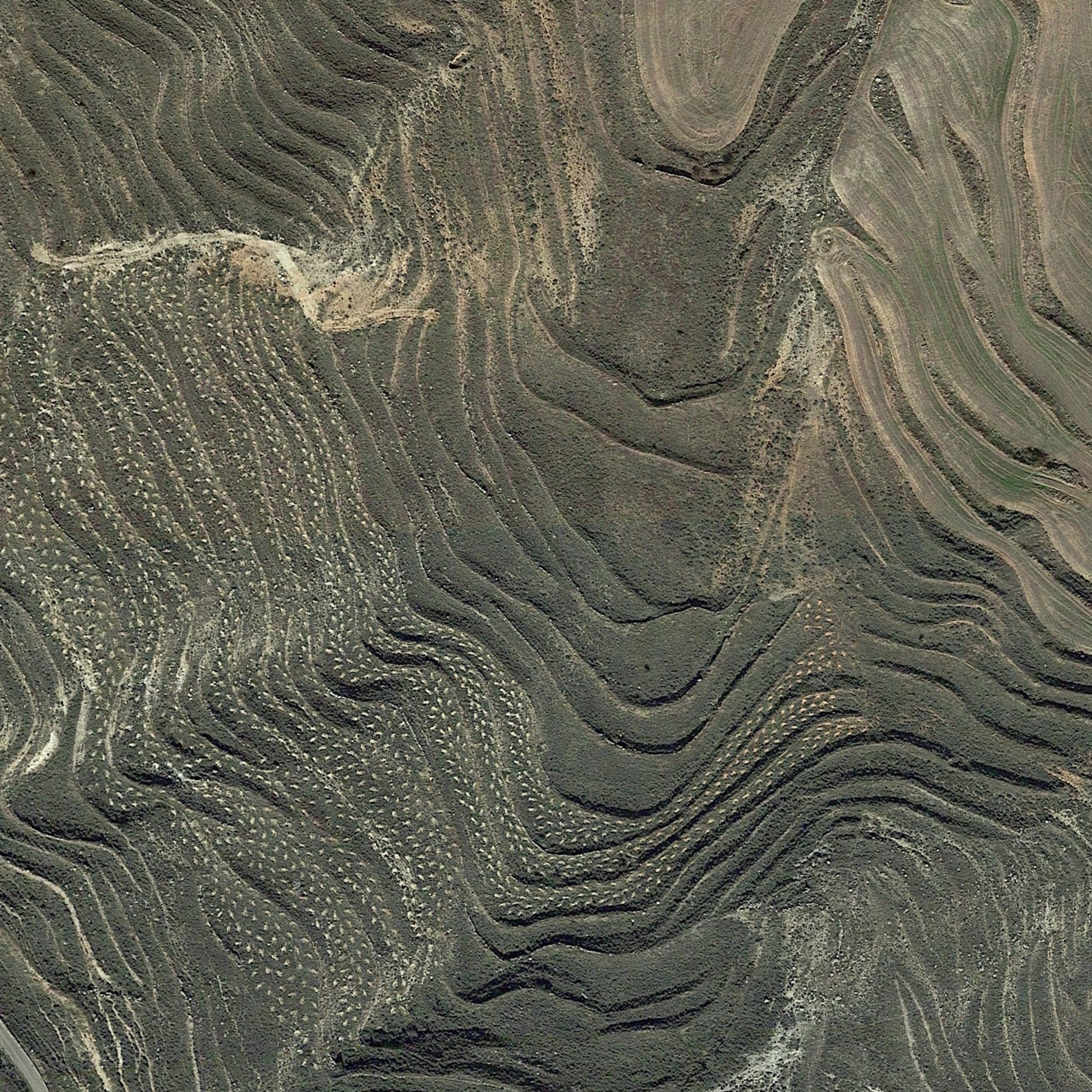 Ariel view of land