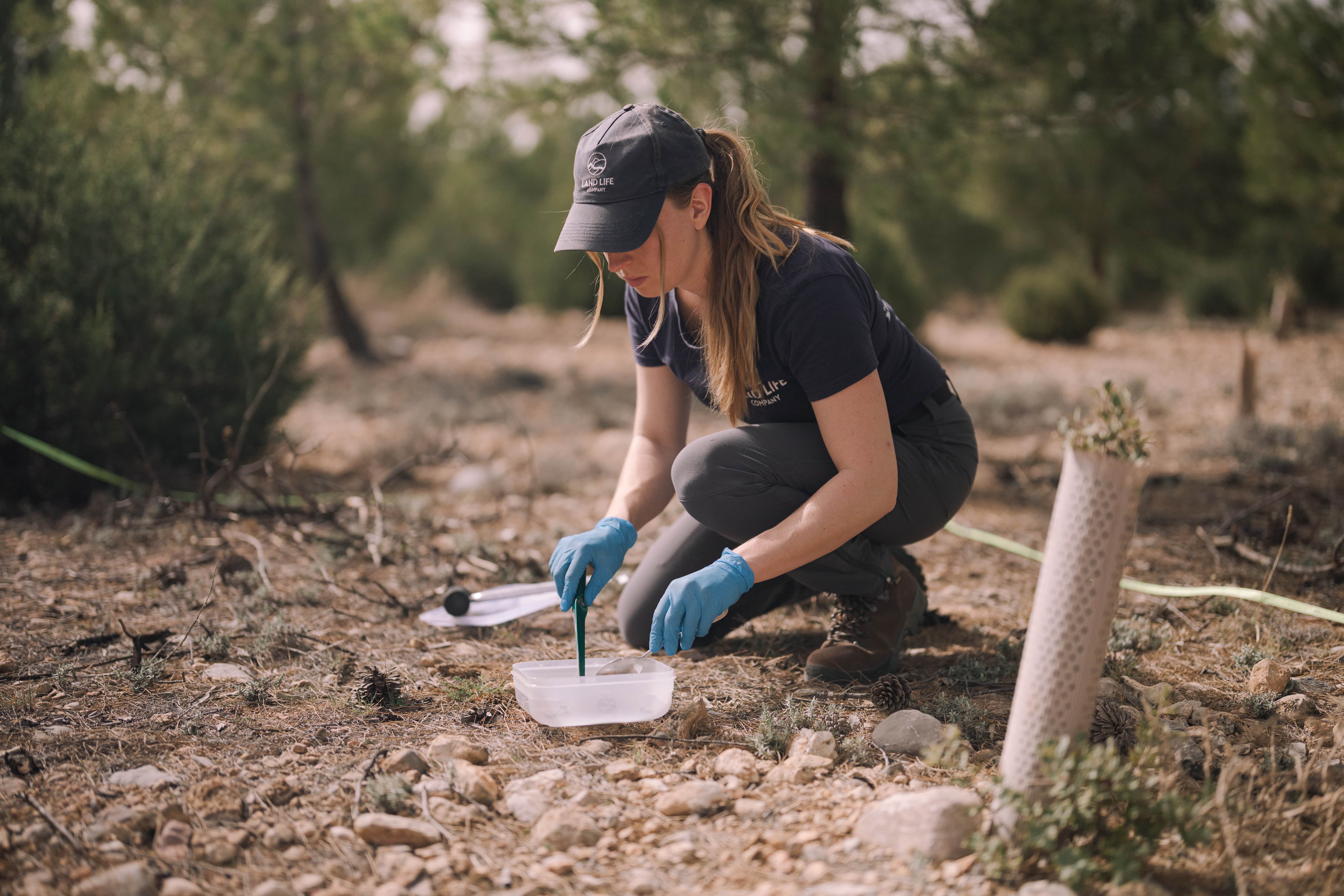 Ecologist measuring biodiversity baseline on restoration site