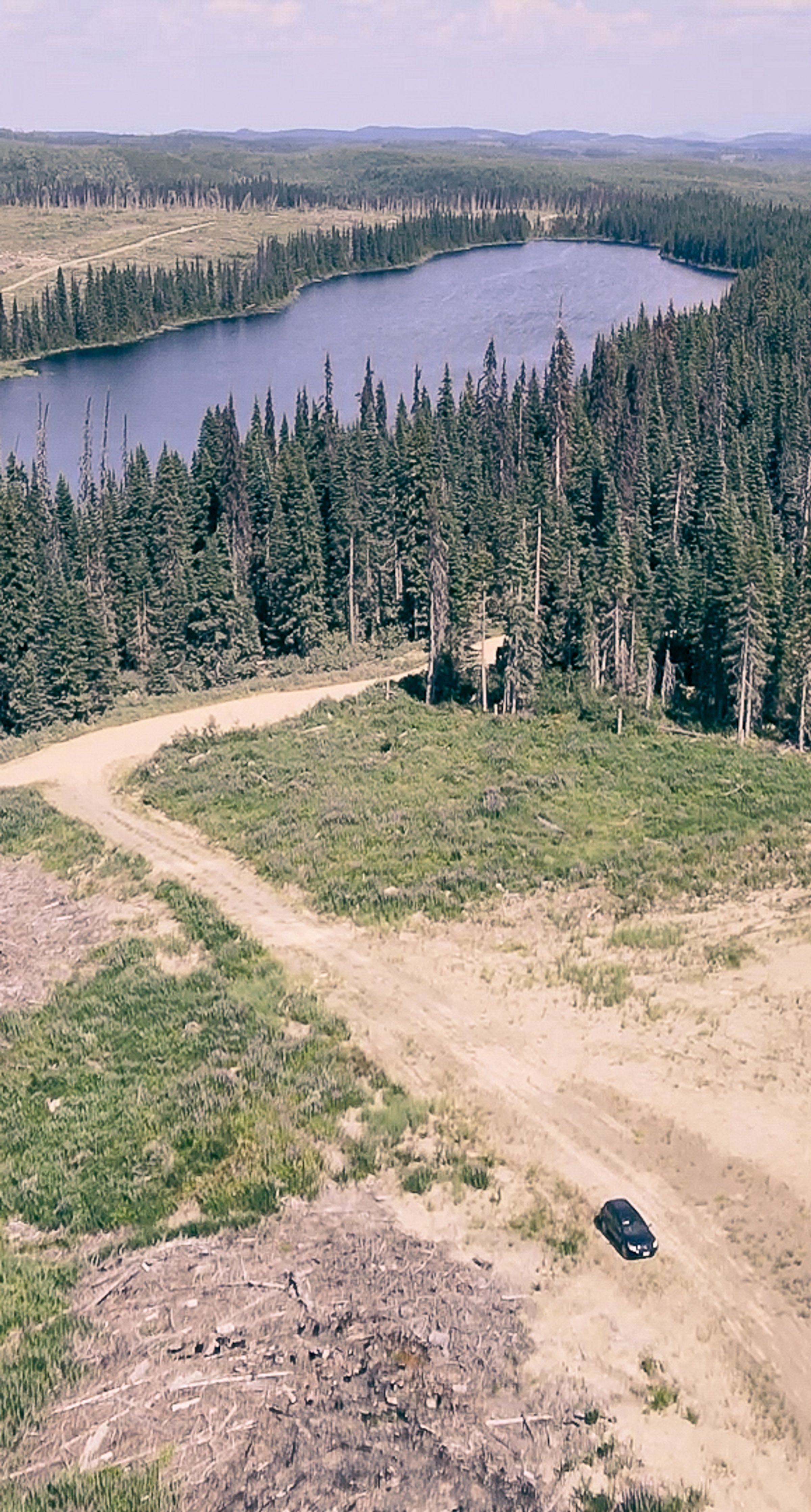 High up over forest