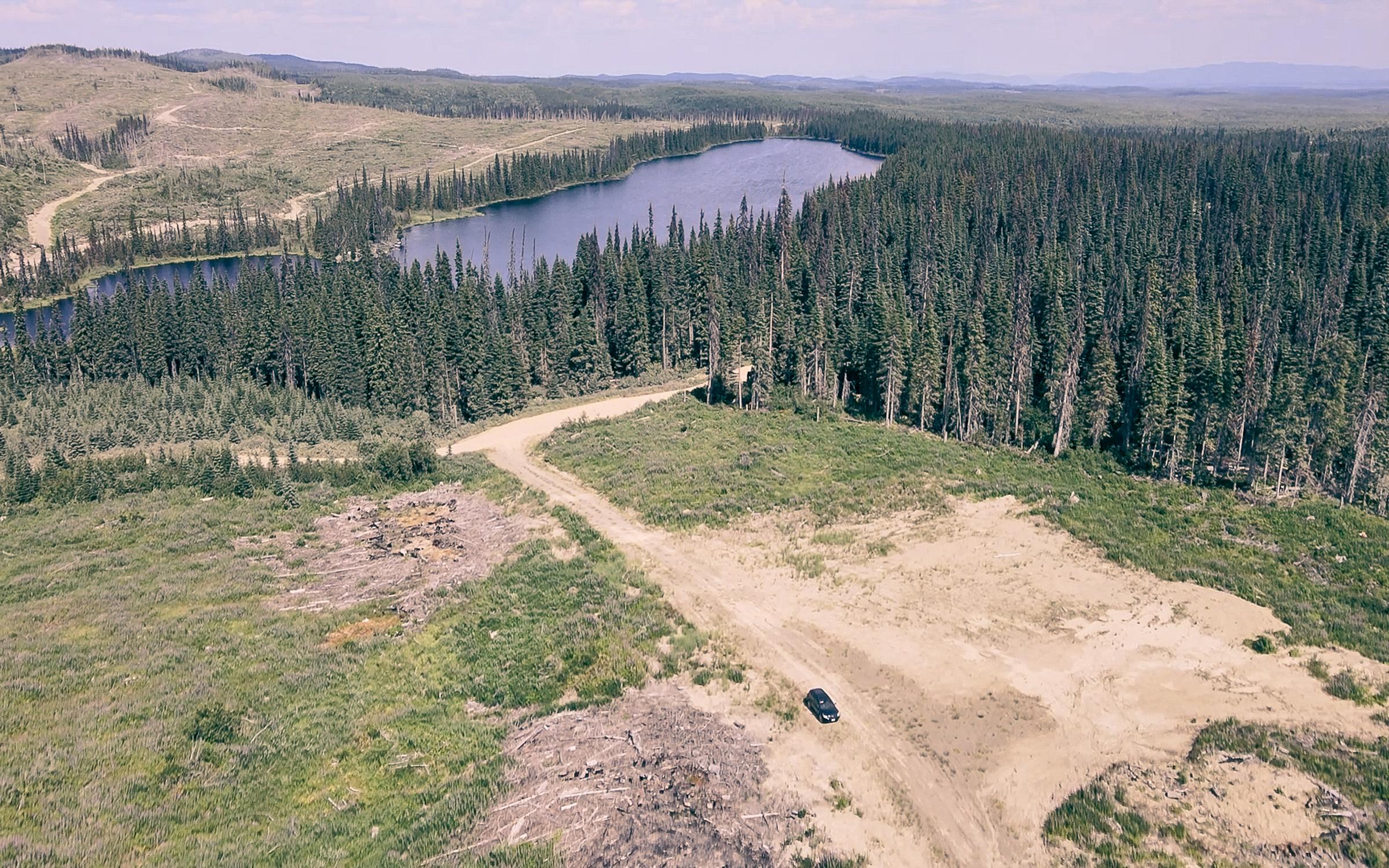 High up over forest