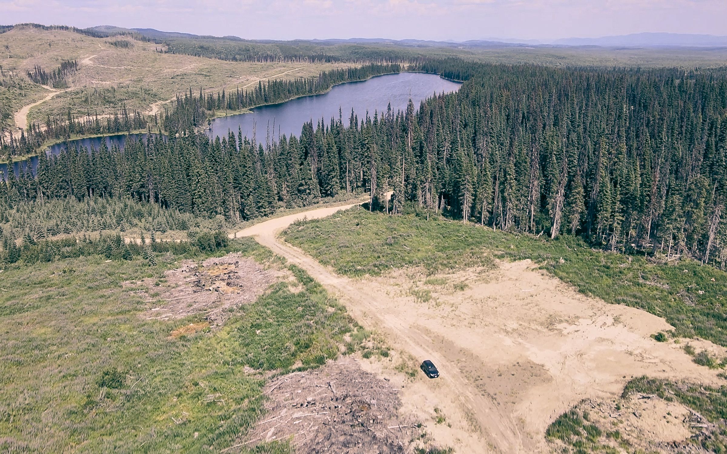 High up over forest