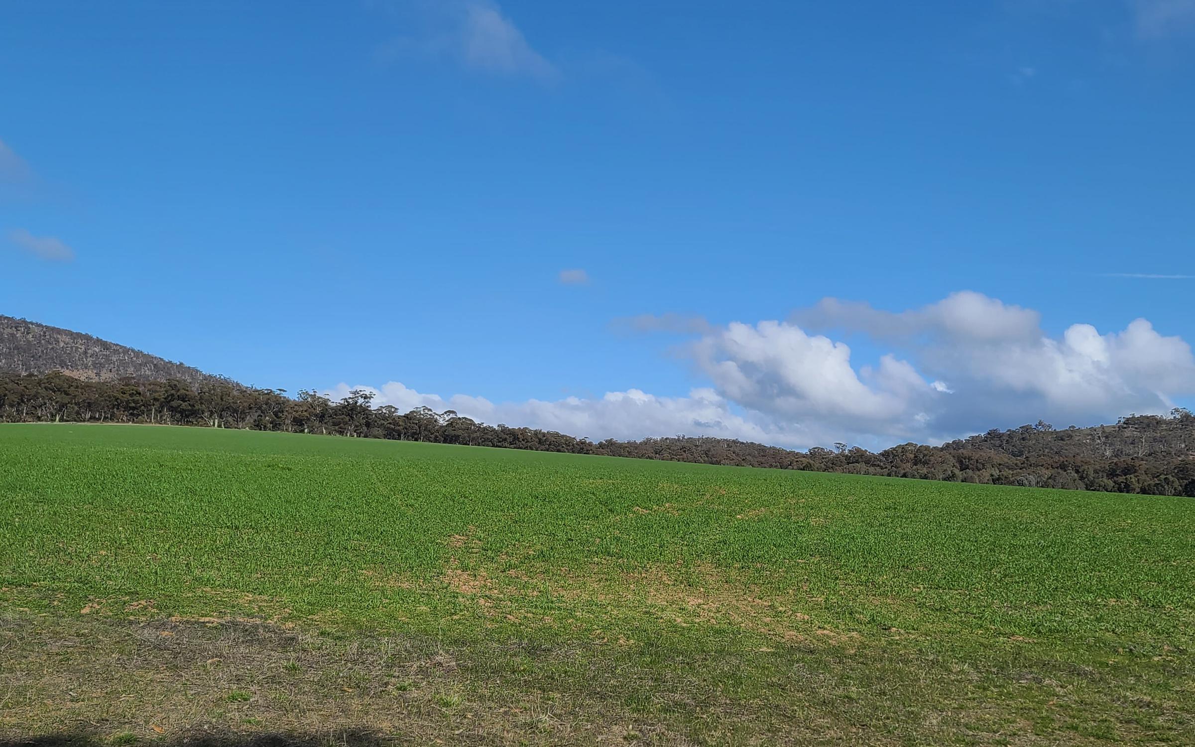 Degraded land in Victoria