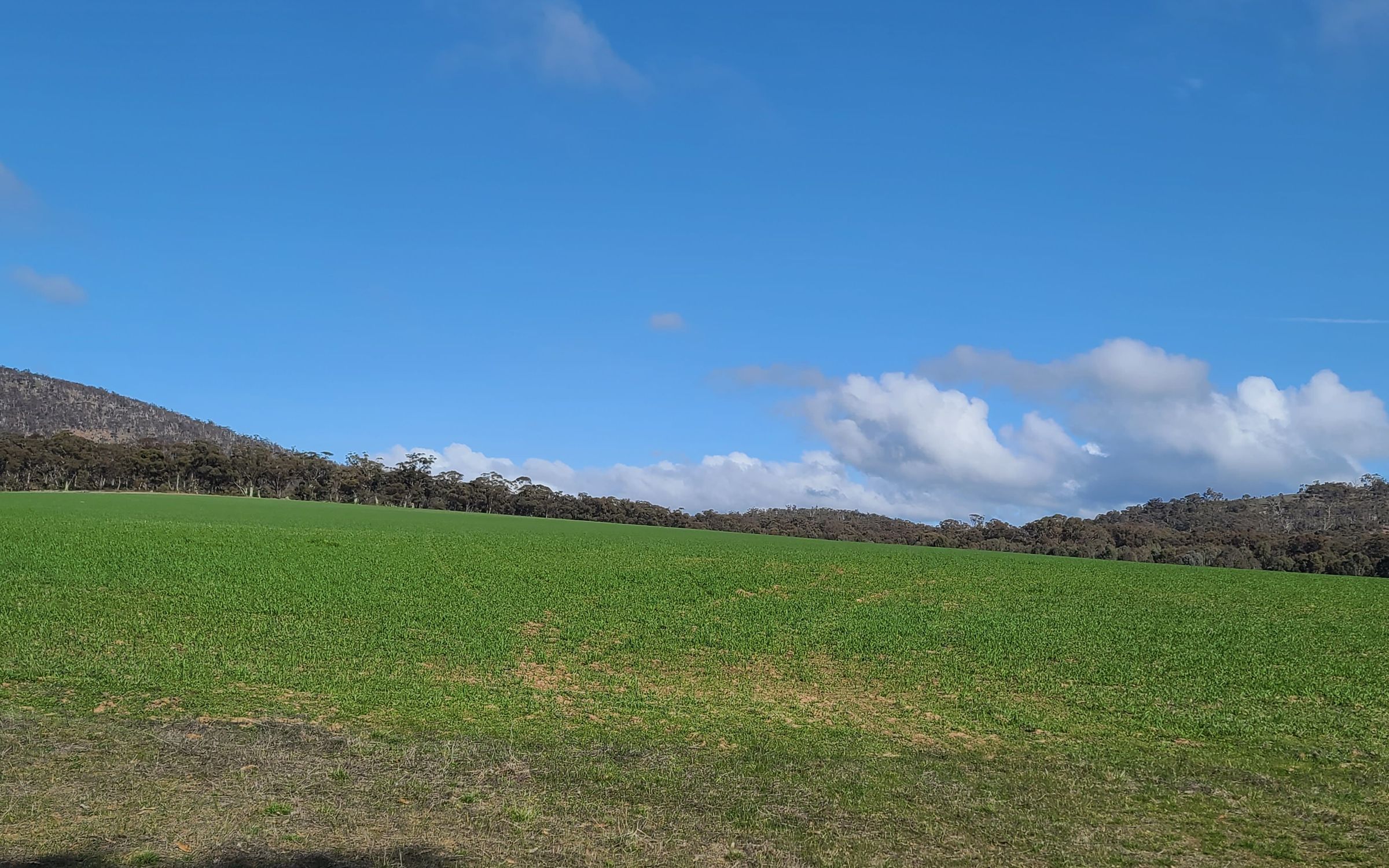 Degraded land in Victoria
