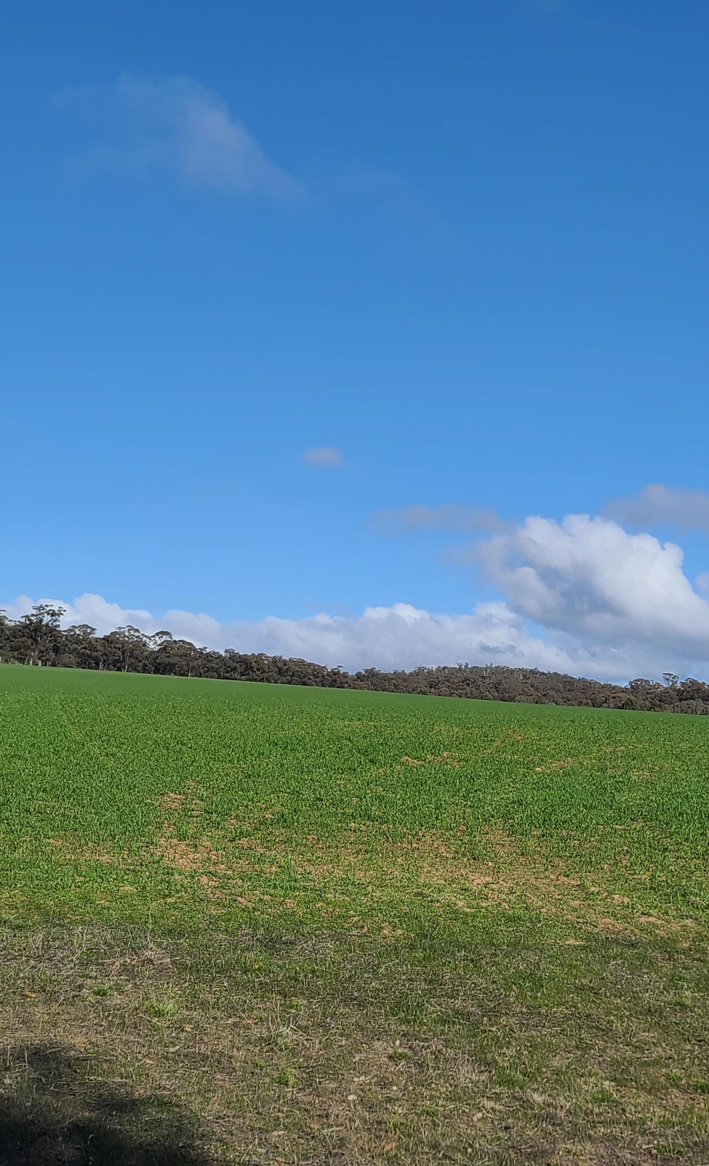 Degraded land in Victoria
