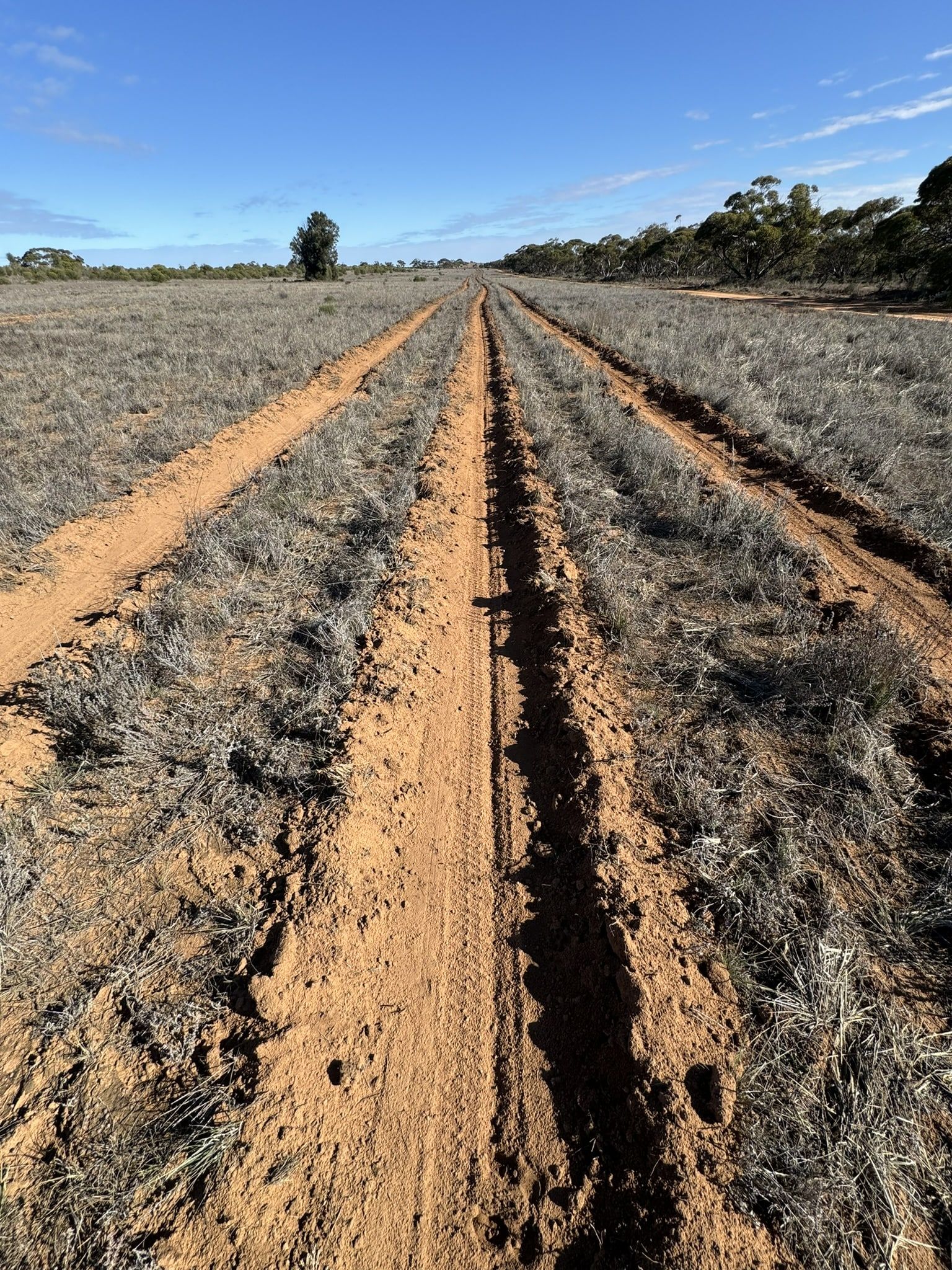 Degraded farmland in Merrinee