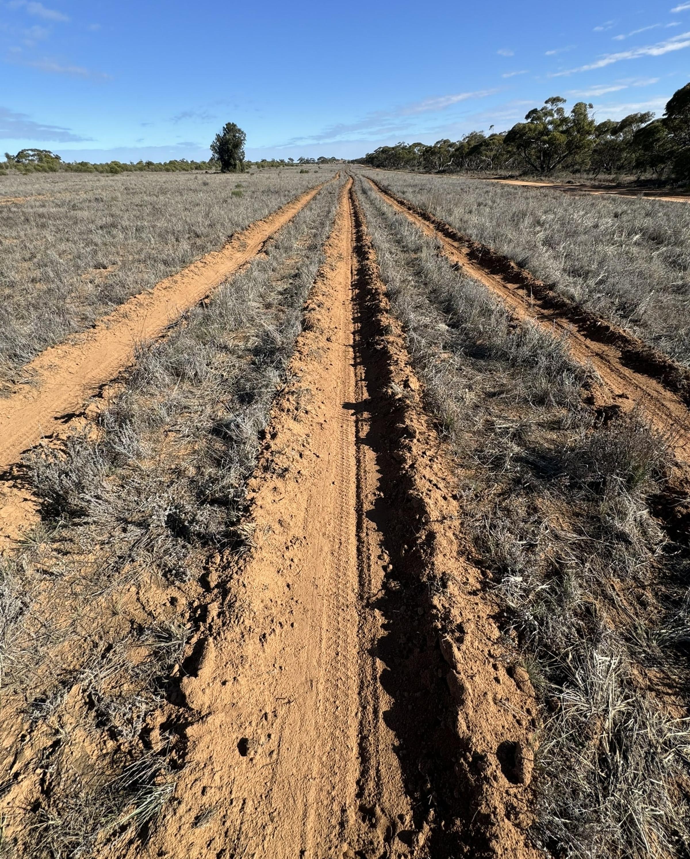 Degraded farmland in Merrinee