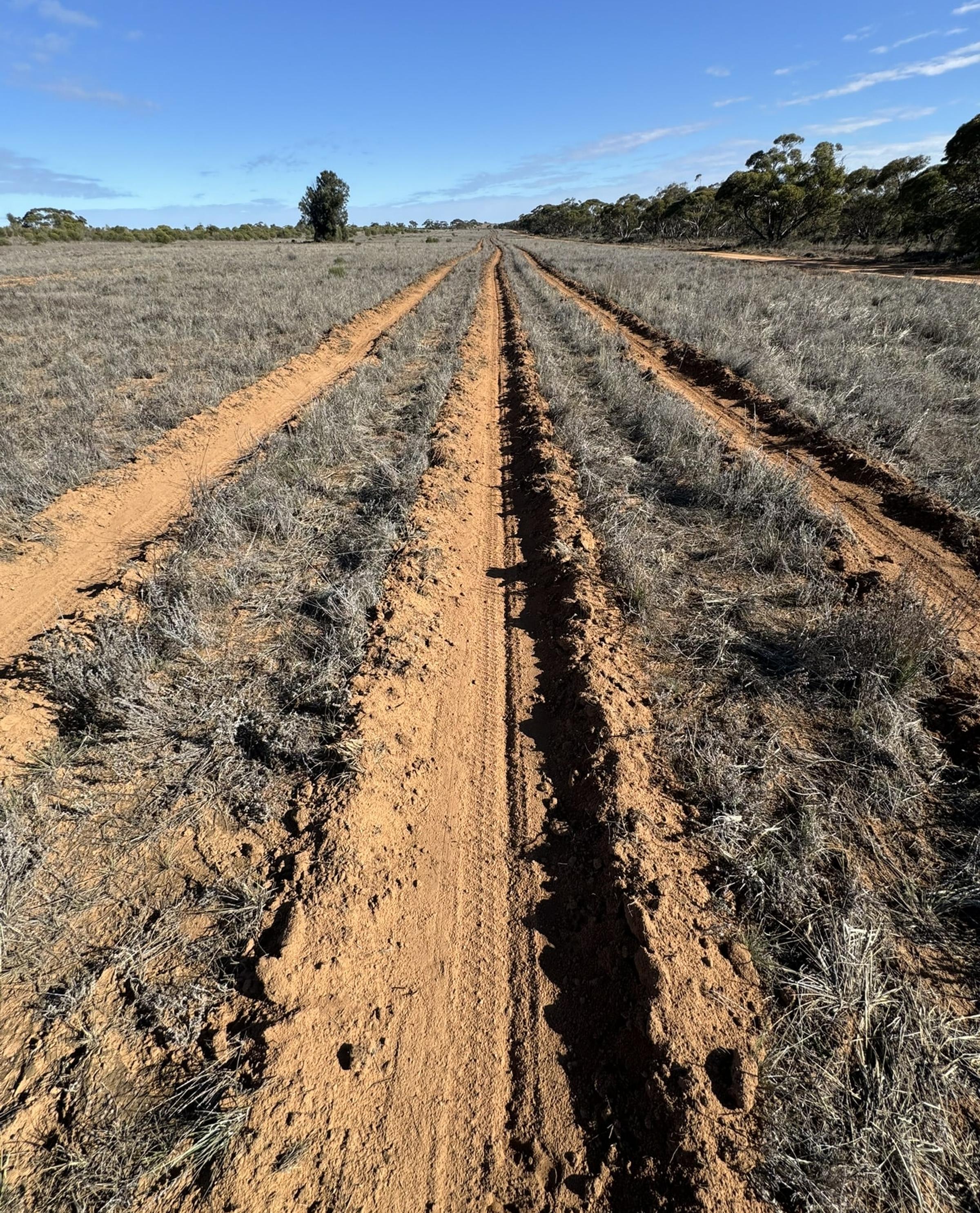 Degraded farmland in Merrinee