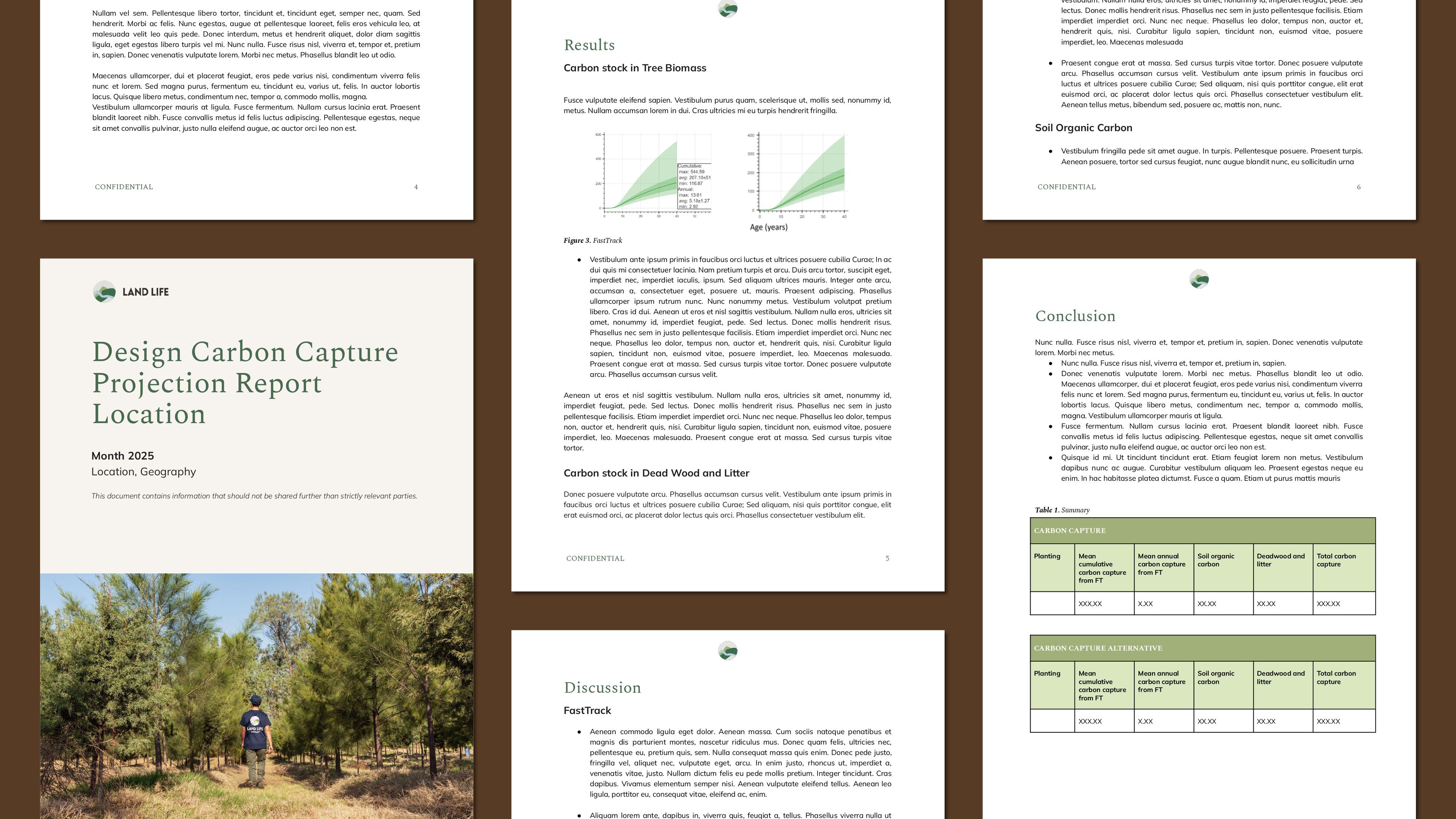 Carbon Capture Projection Report Sample
