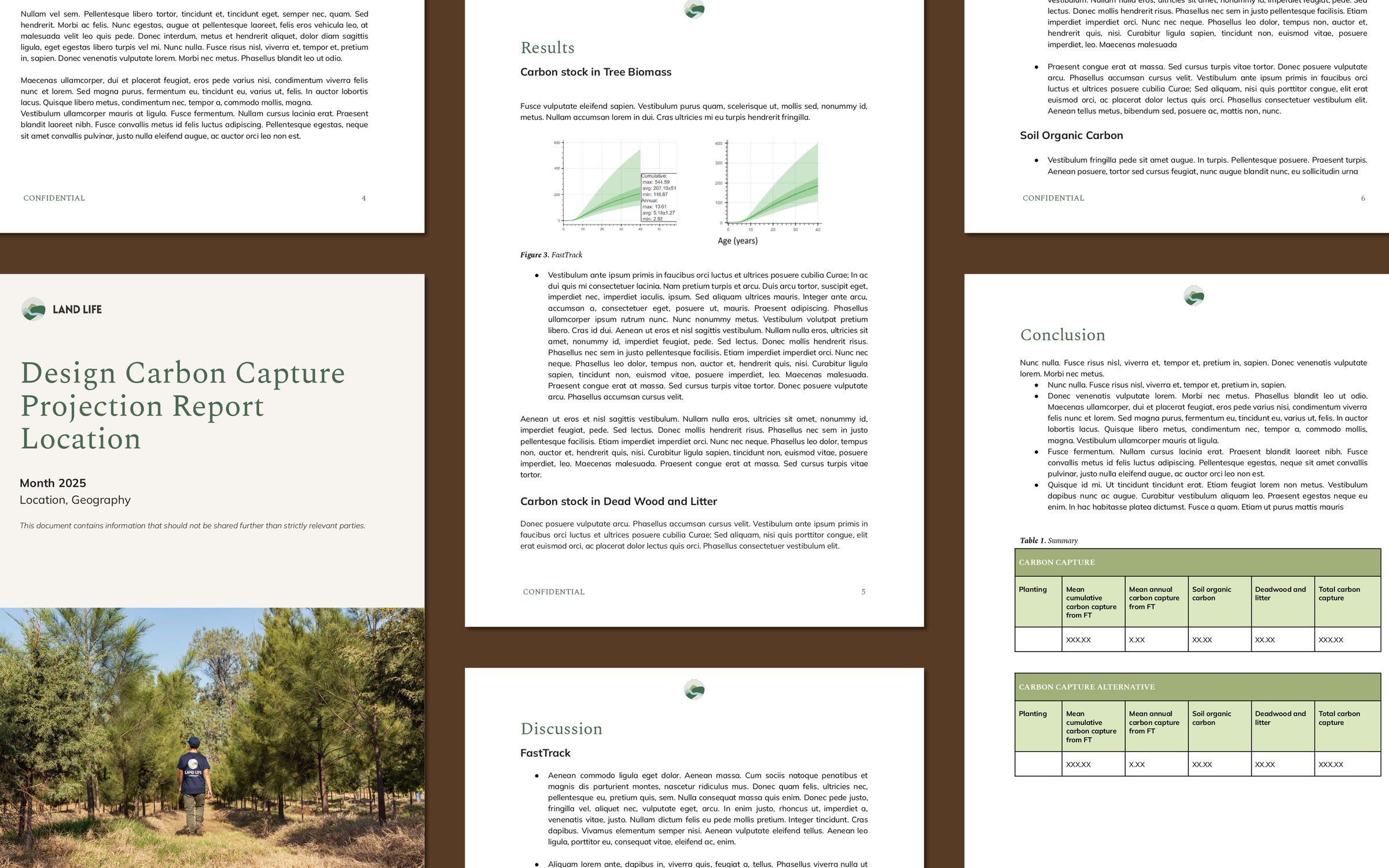 Carbon Capture Projection Report Sample